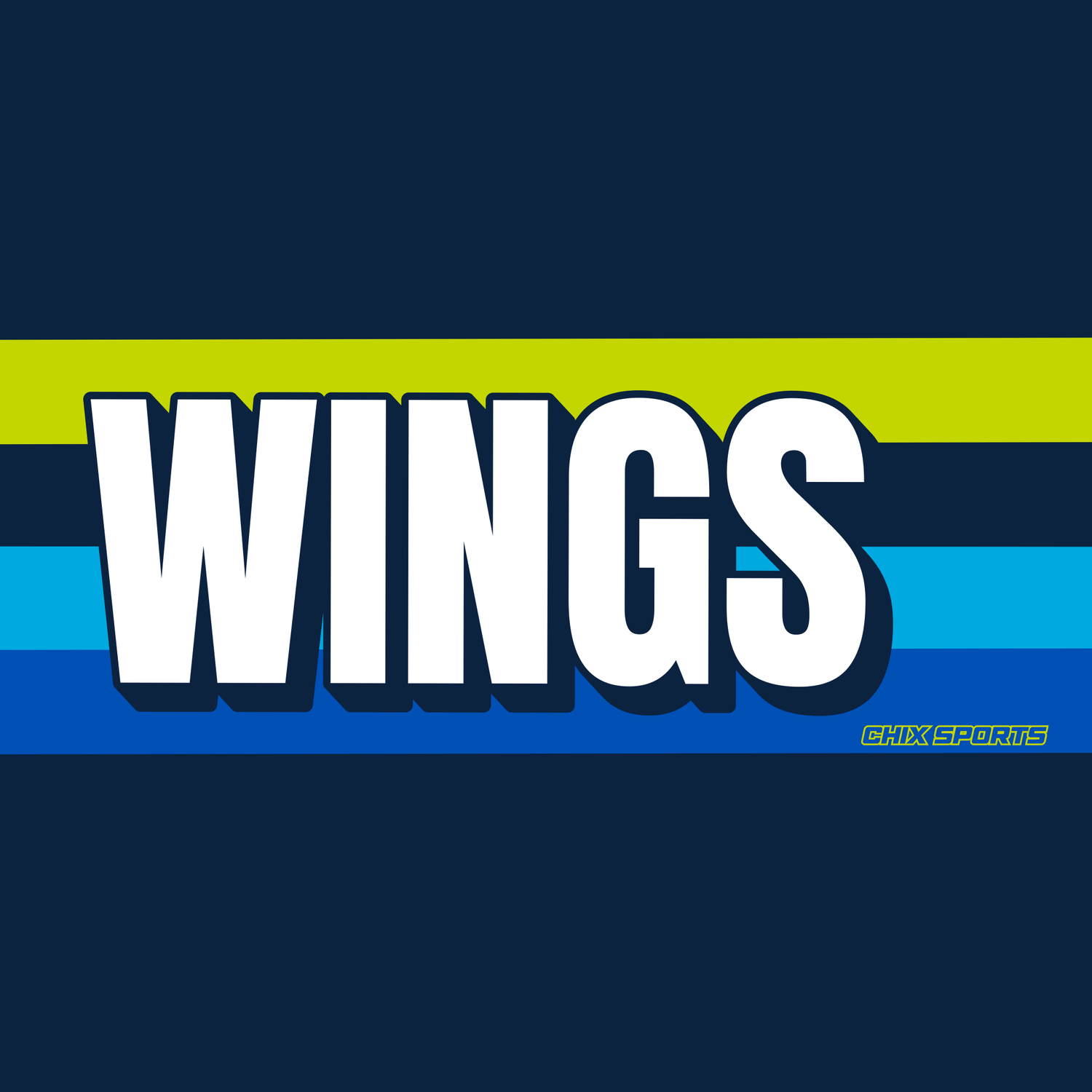 Dallas Wings - Chix Sports