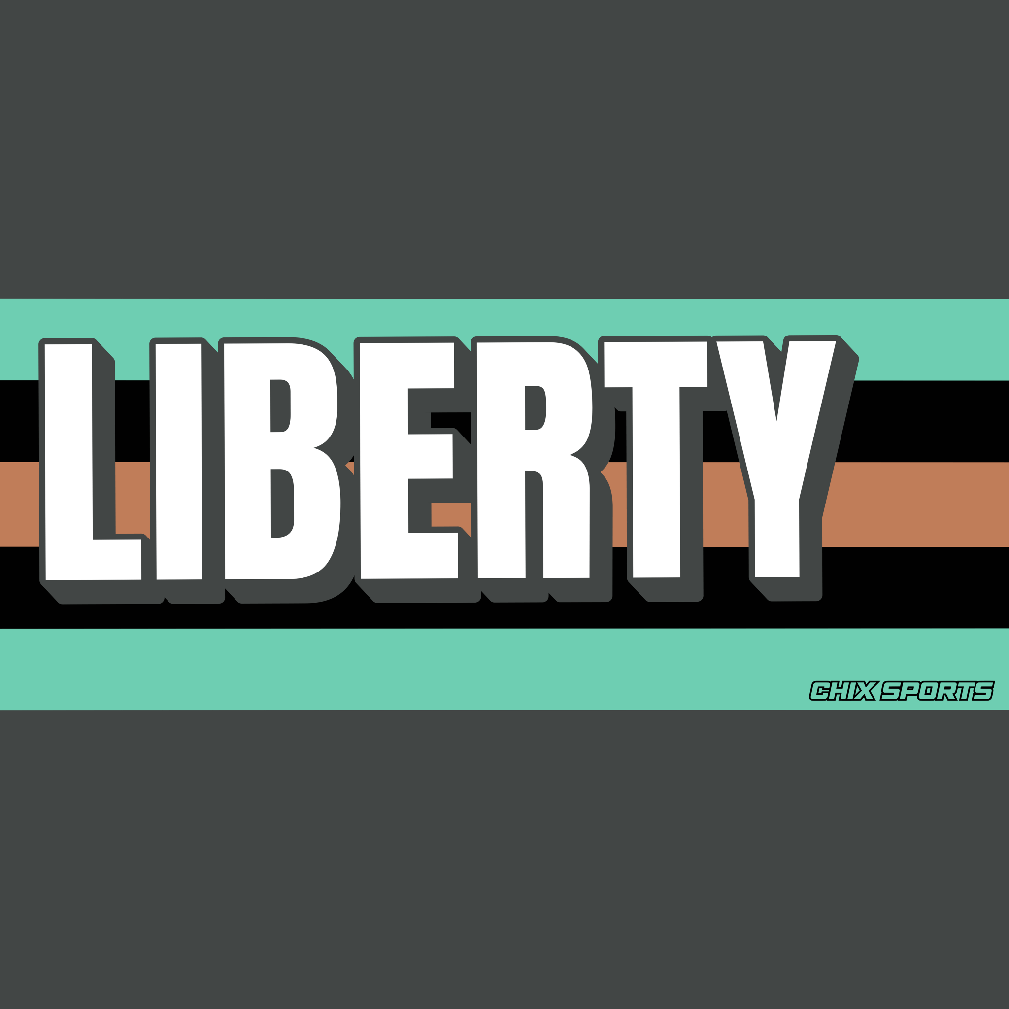 New York Liberty - Chix Sports