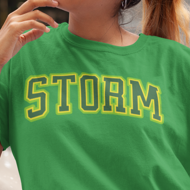 Seattle Storm - Chix Sports