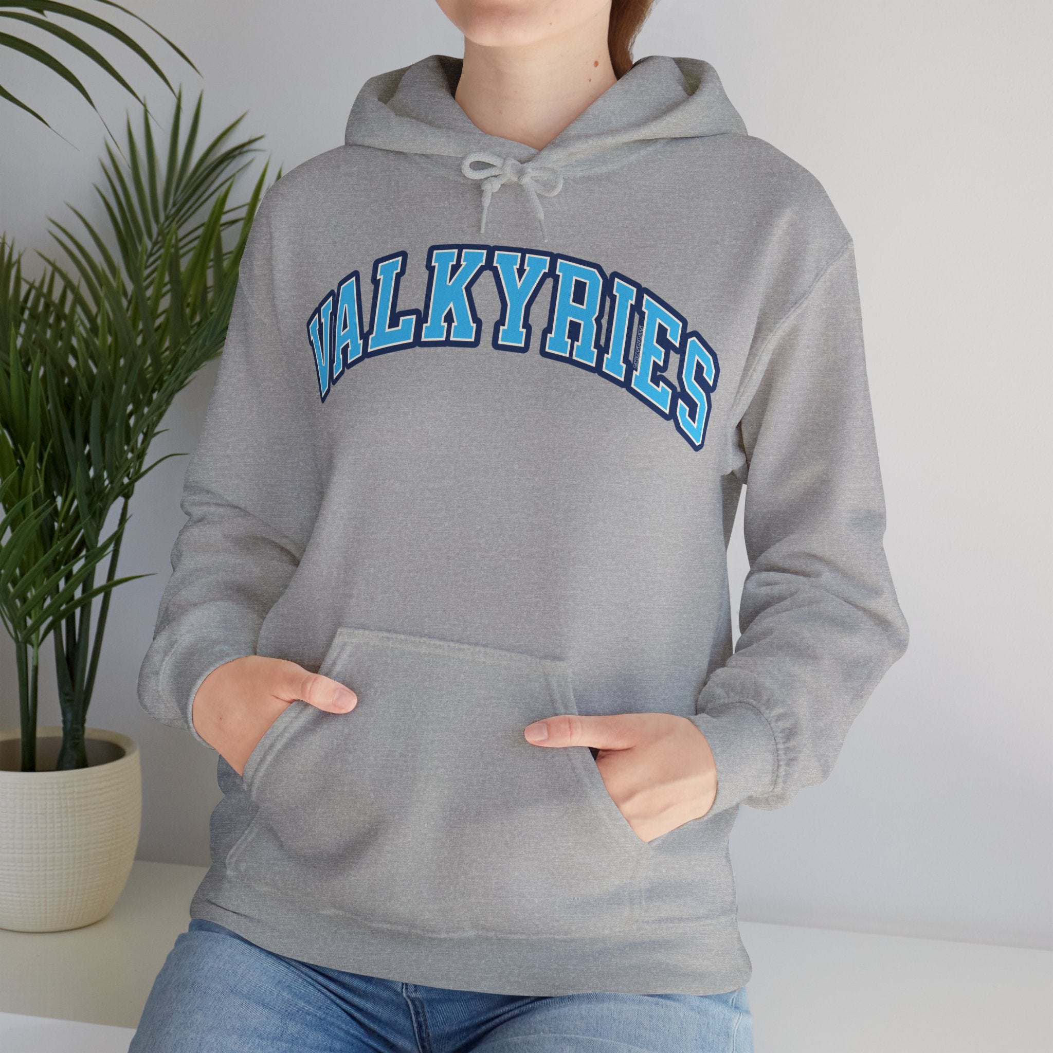 Valkyries Volleyball Unisex Heavy Hoodie