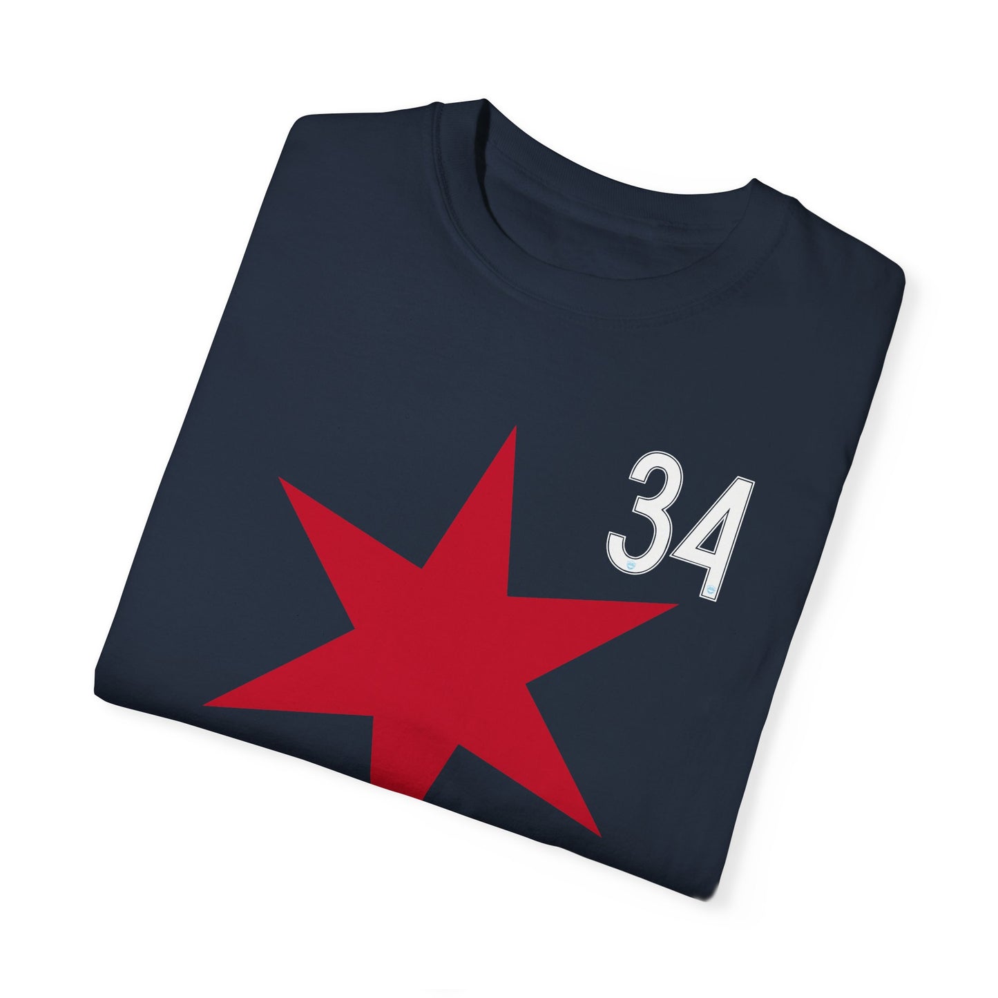 Ally Schlegel 34 Chicago Soccer Premium T-shirt