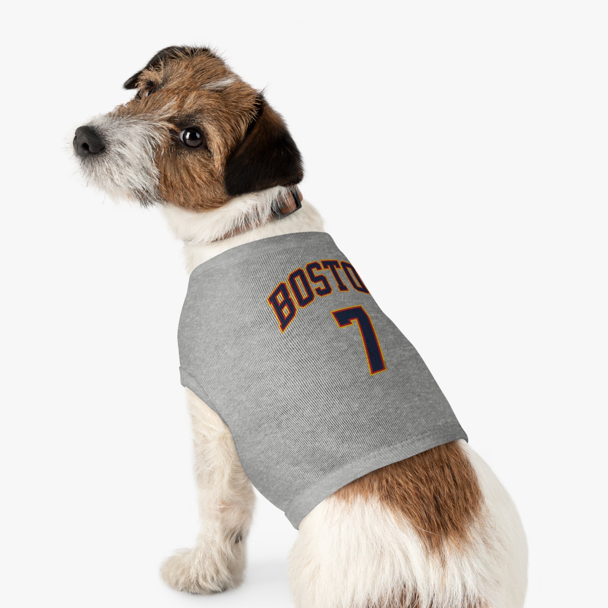 Aliyah Boston Fever Dog Sweater