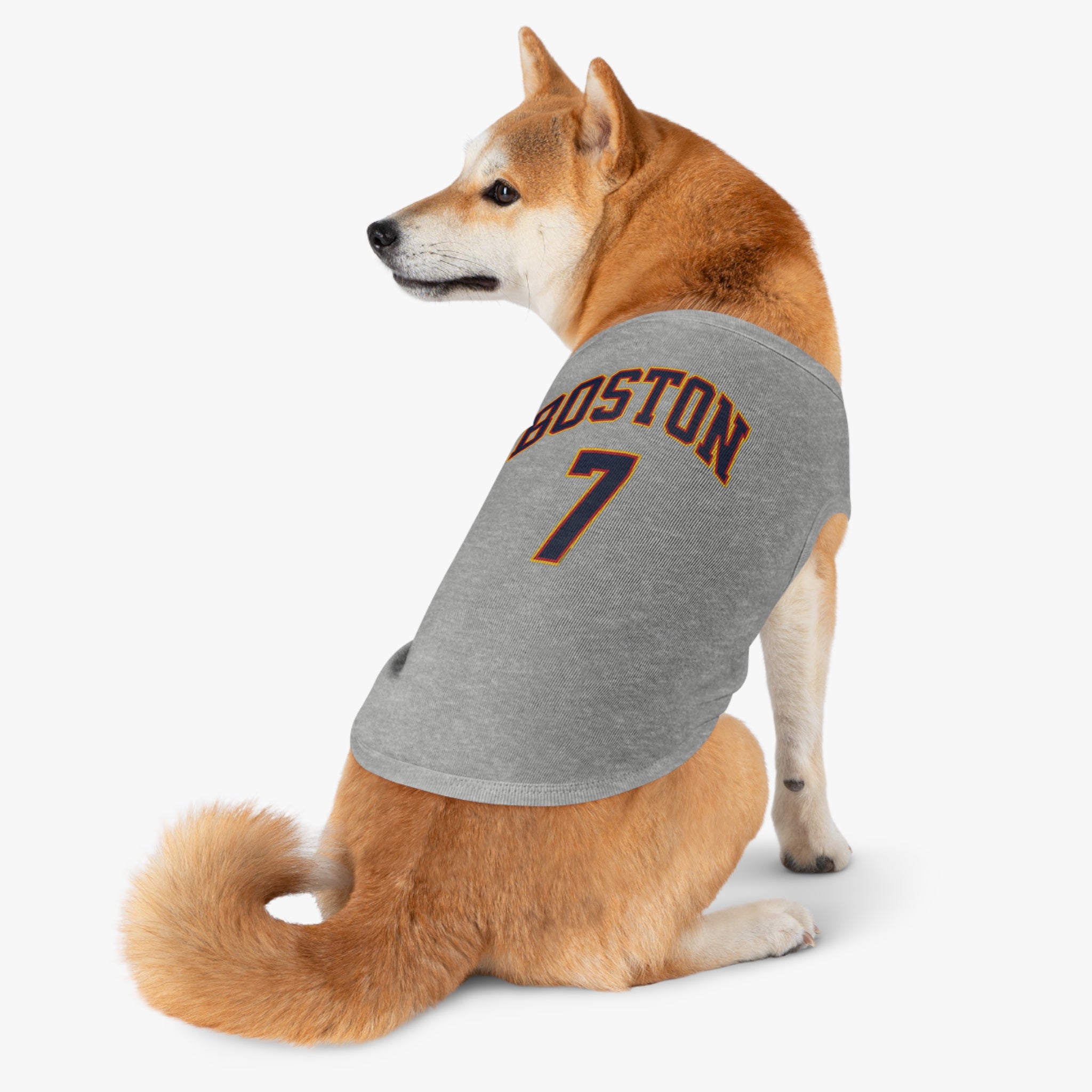 Aliyah Boston Fever Dog Sweater