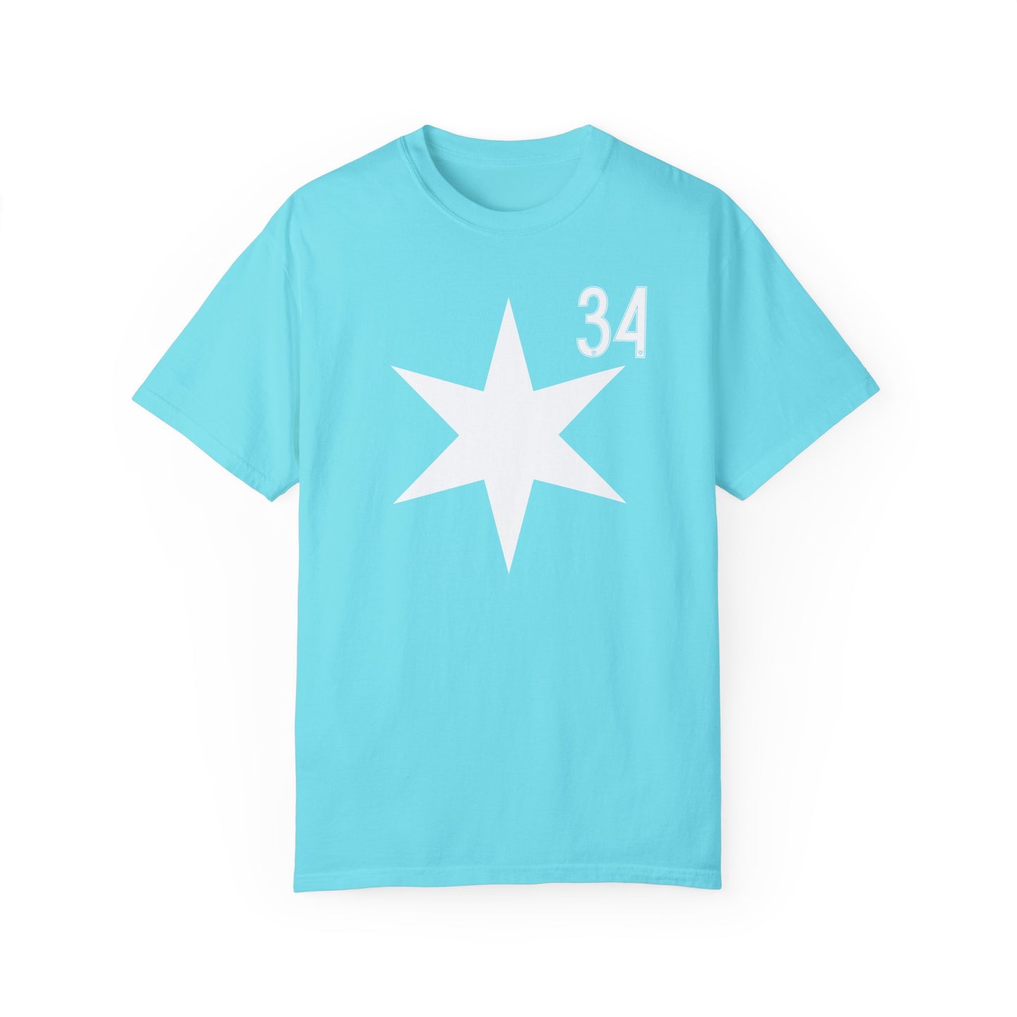 Ally Schlegel 34 Chicago Soccer Premium T-shirt