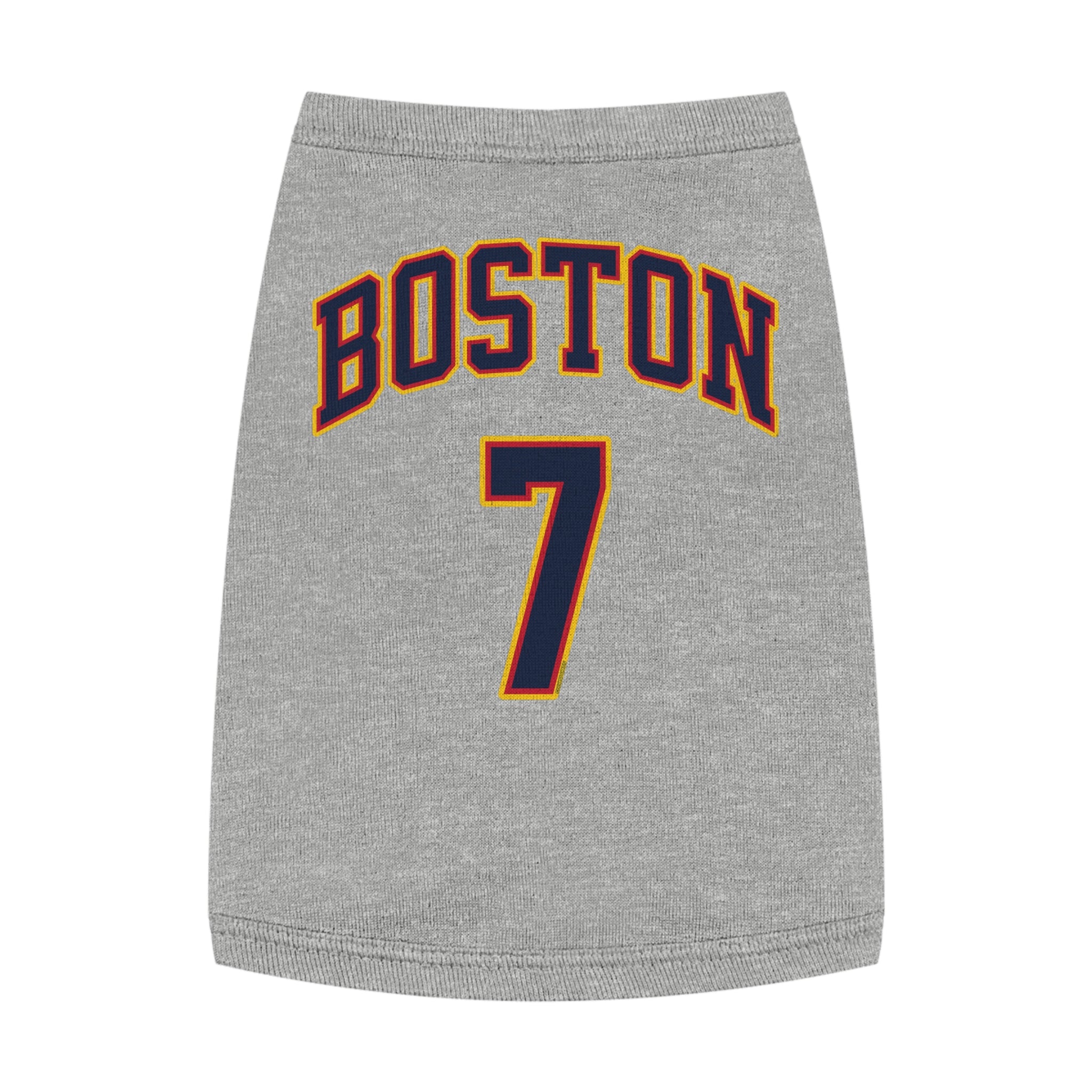 Aliyah Boston Fever Dog Sweater