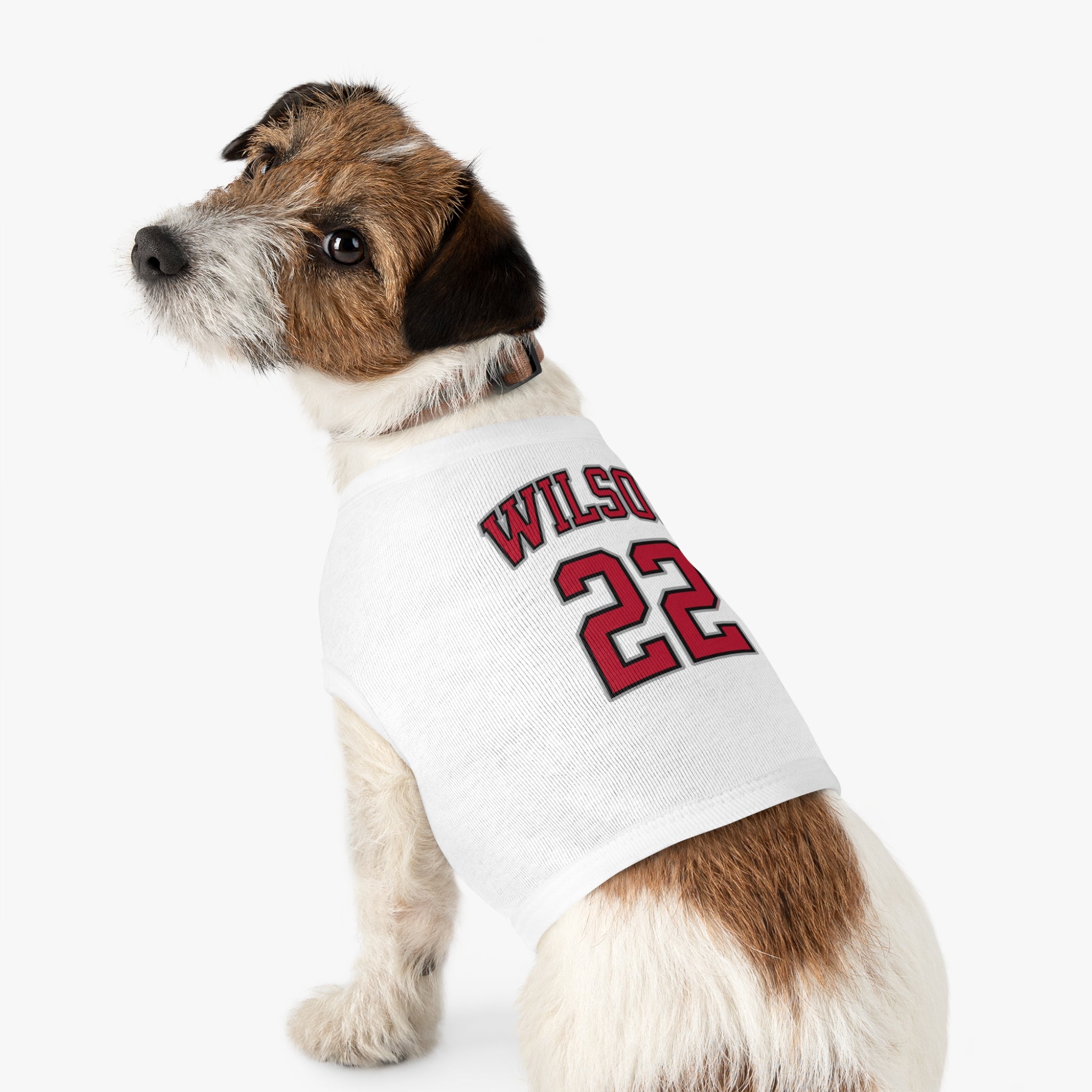 A'ja Wilson Aces Pet Sweater