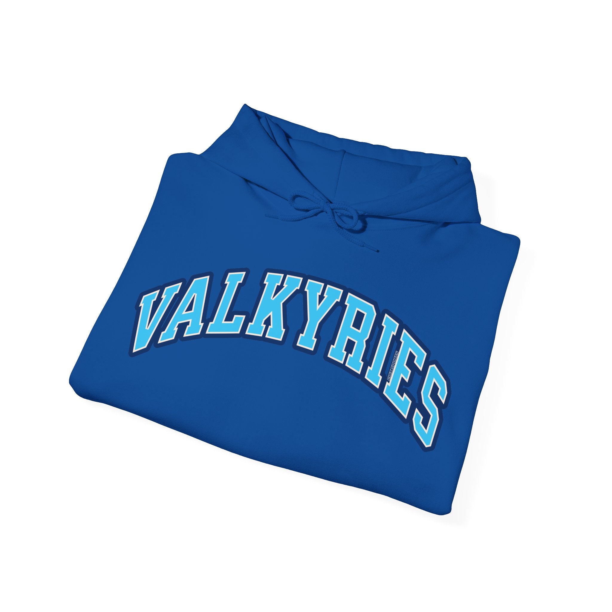 Valkyries Volleyball Unisex Heavy Hoodie