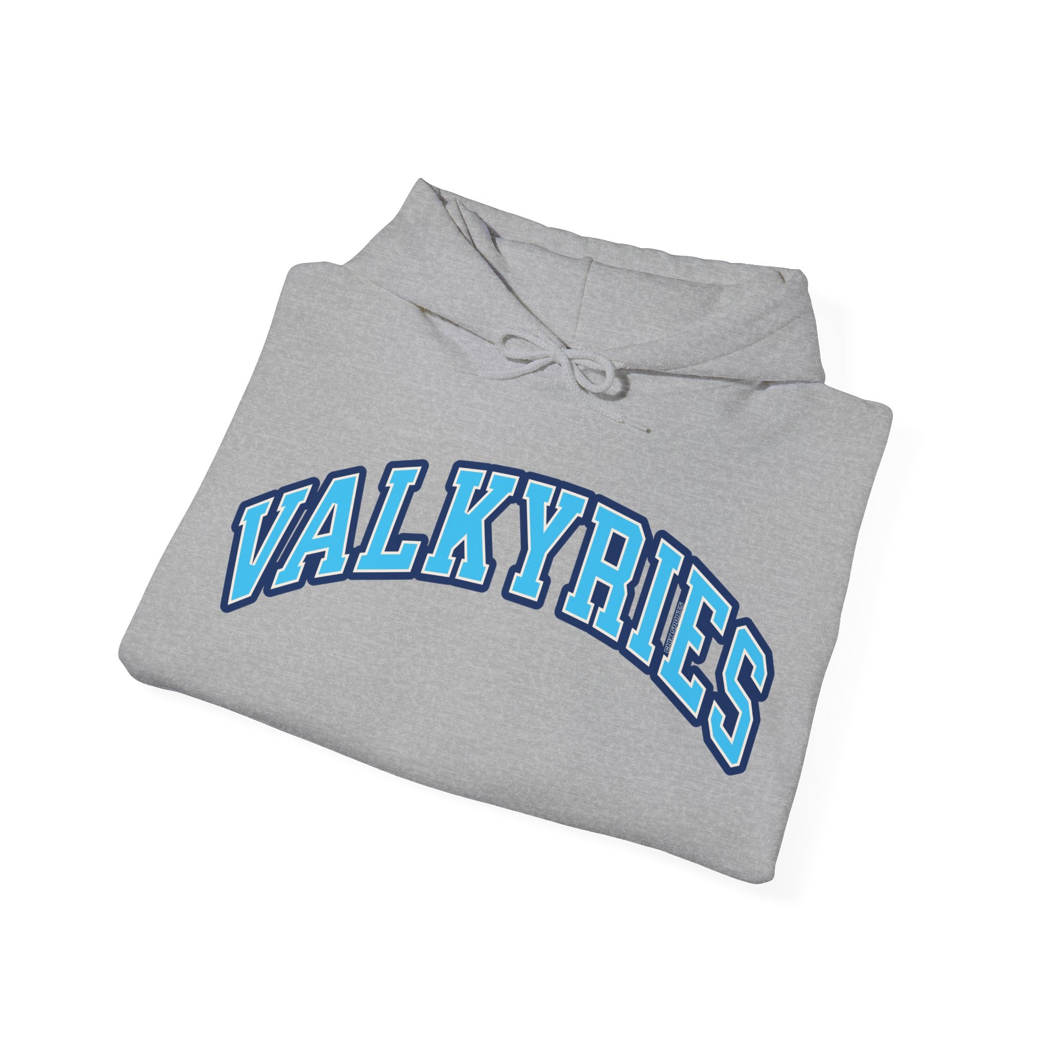 Valkyries Volleyball Unisex Heavy Hoodie