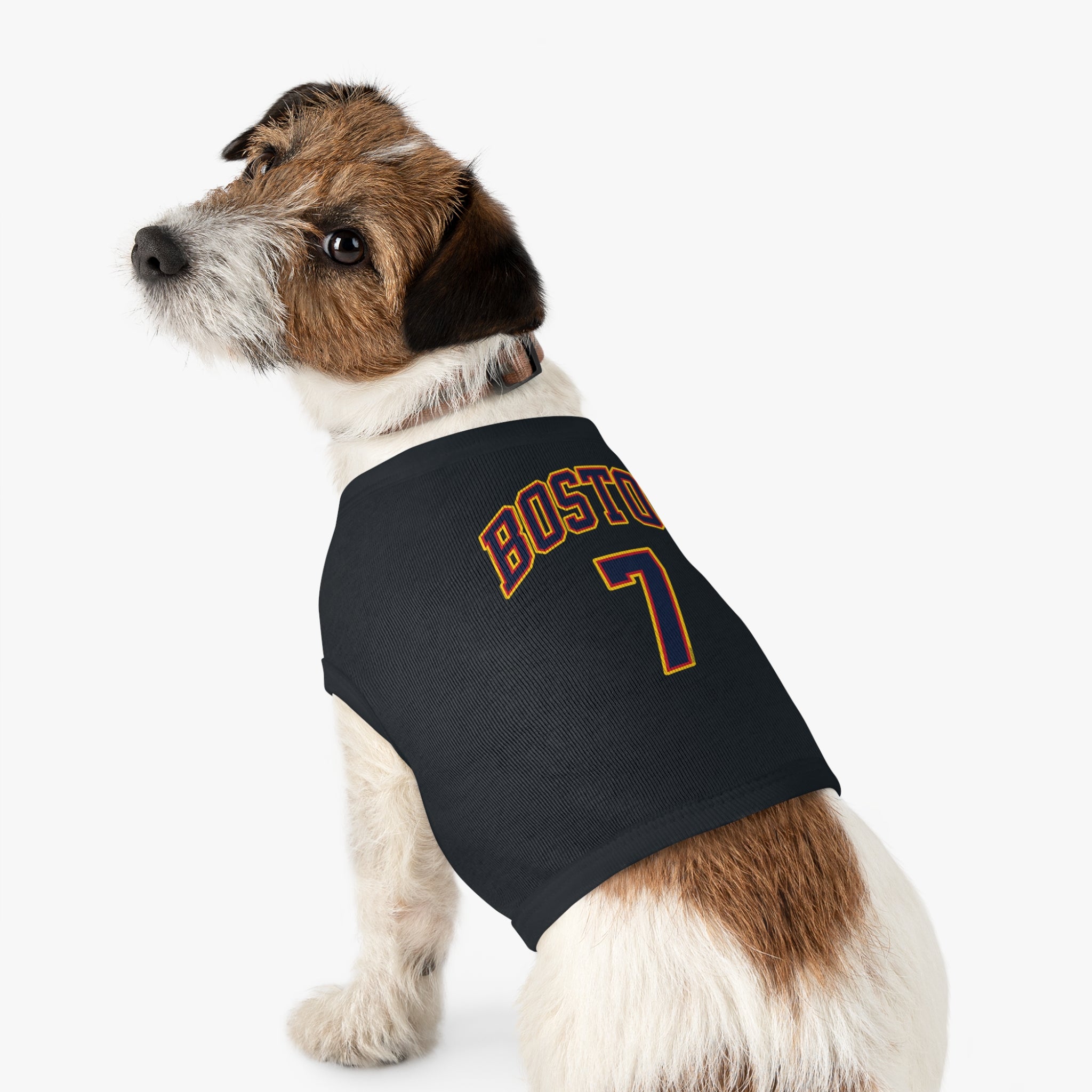 Aliyah Boston Fever Dog Sweater