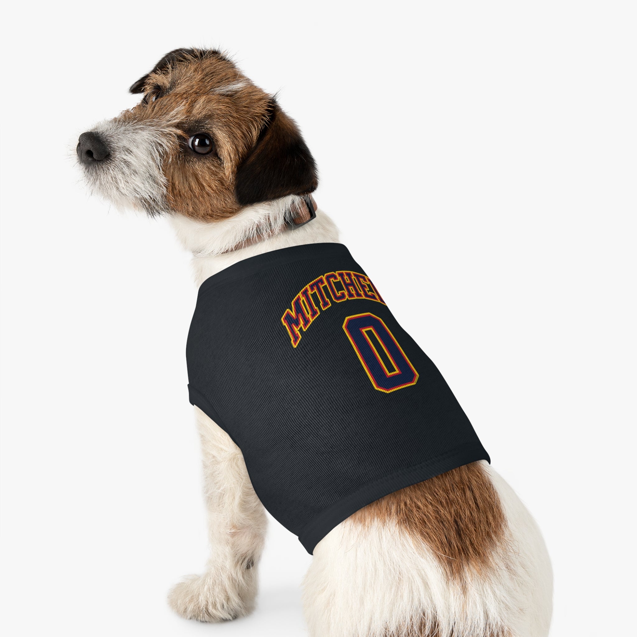 Kelsey Mitchell Fever Pet Sweater
