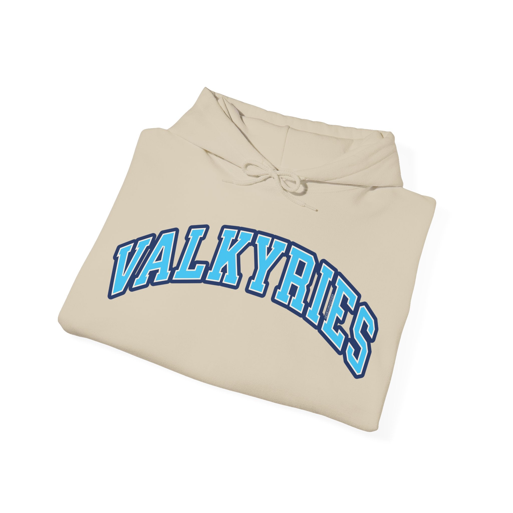 Valkyries Volleyball Unisex Heavy Hoodie
