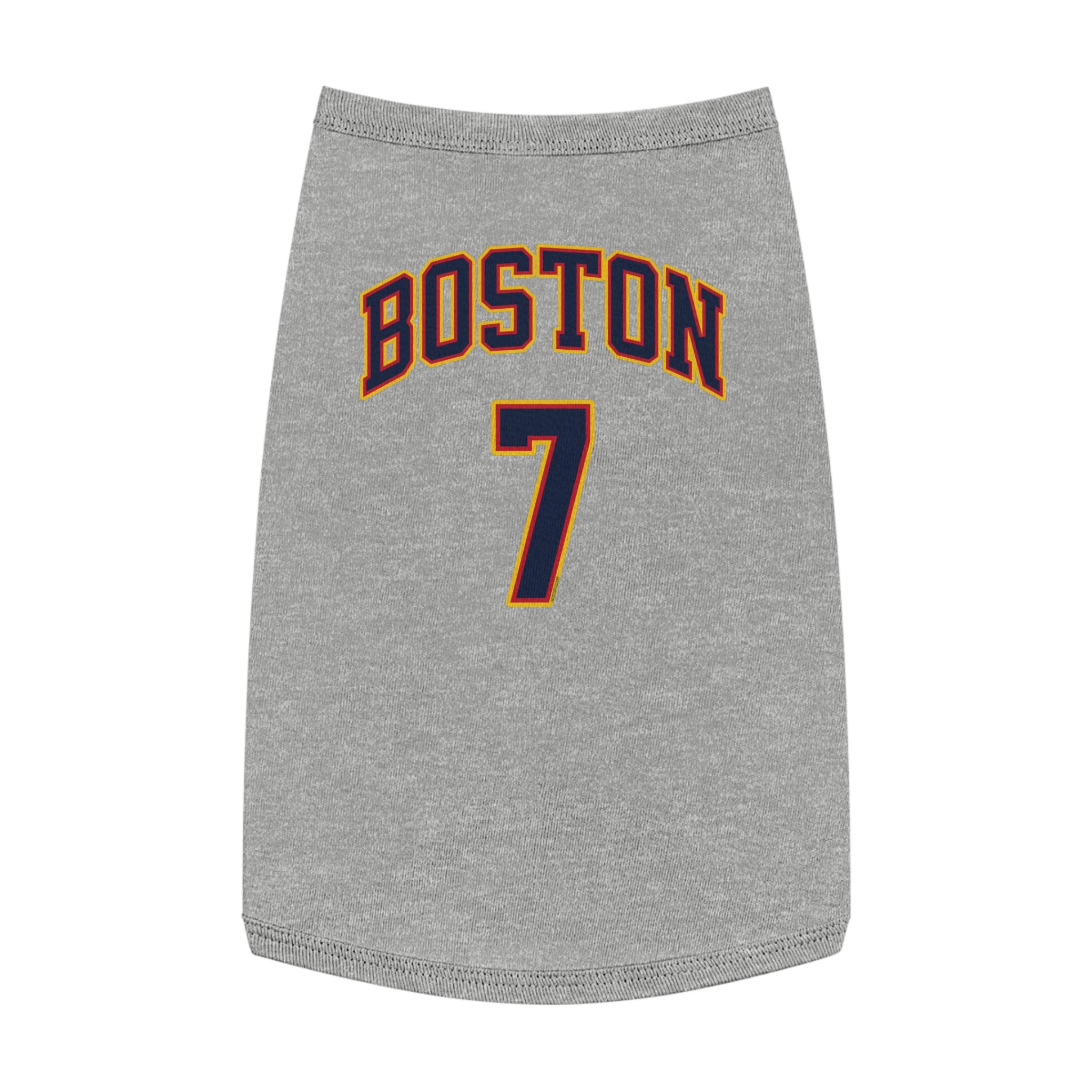 Aliyah Boston Fever Dog Sweater