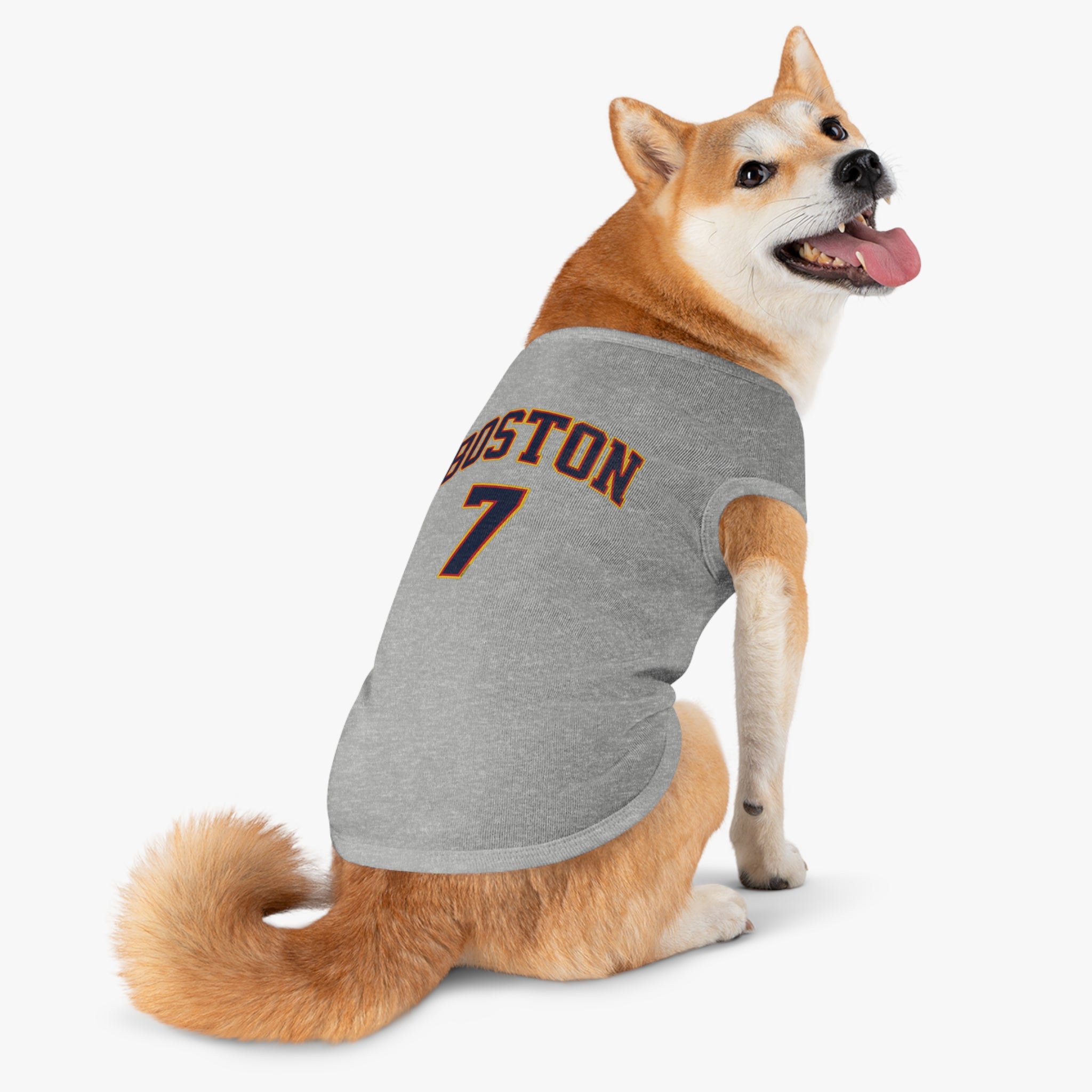 Aliyah Boston Fever Dog Sweater