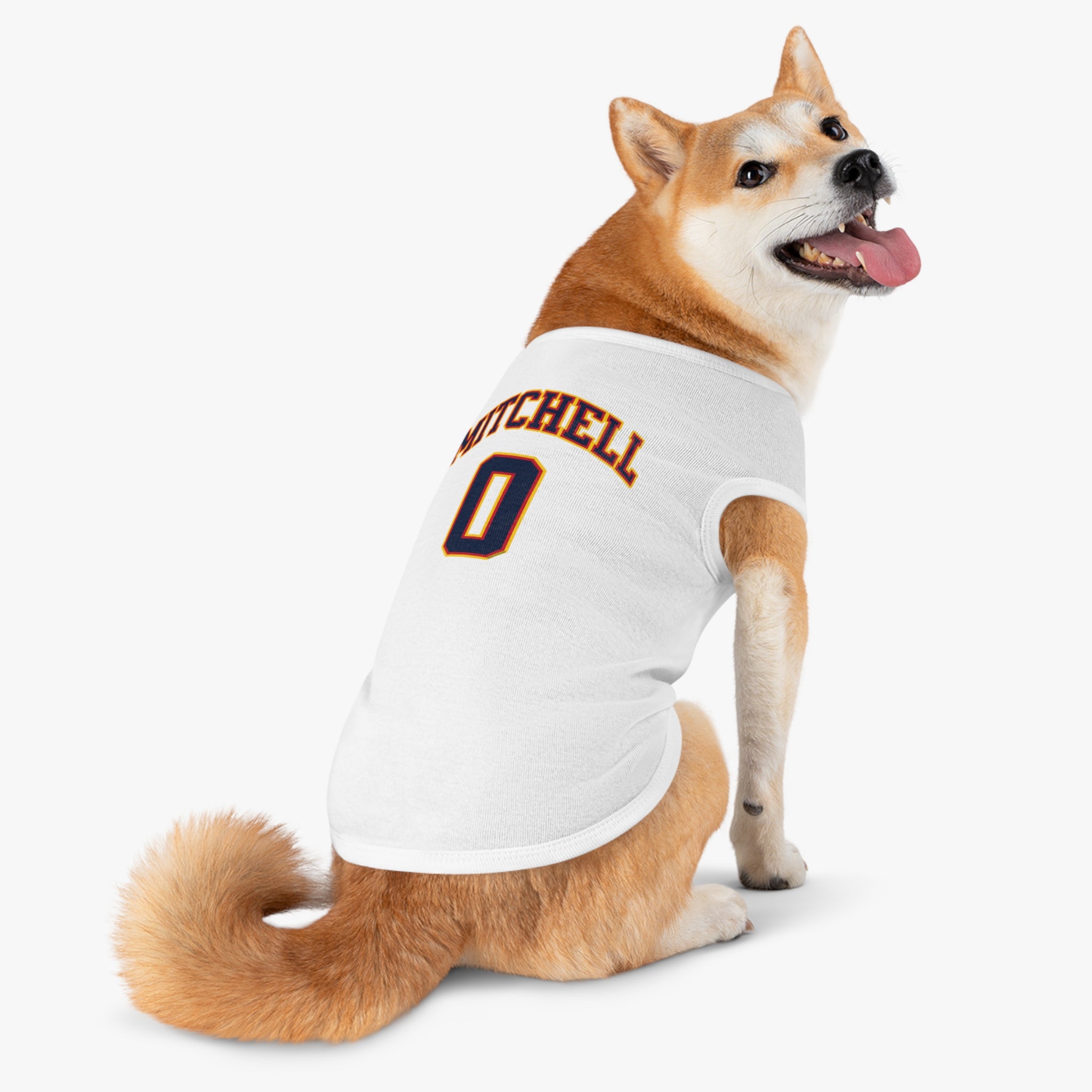 Kelsey Mitchell Fever Pet Sweater