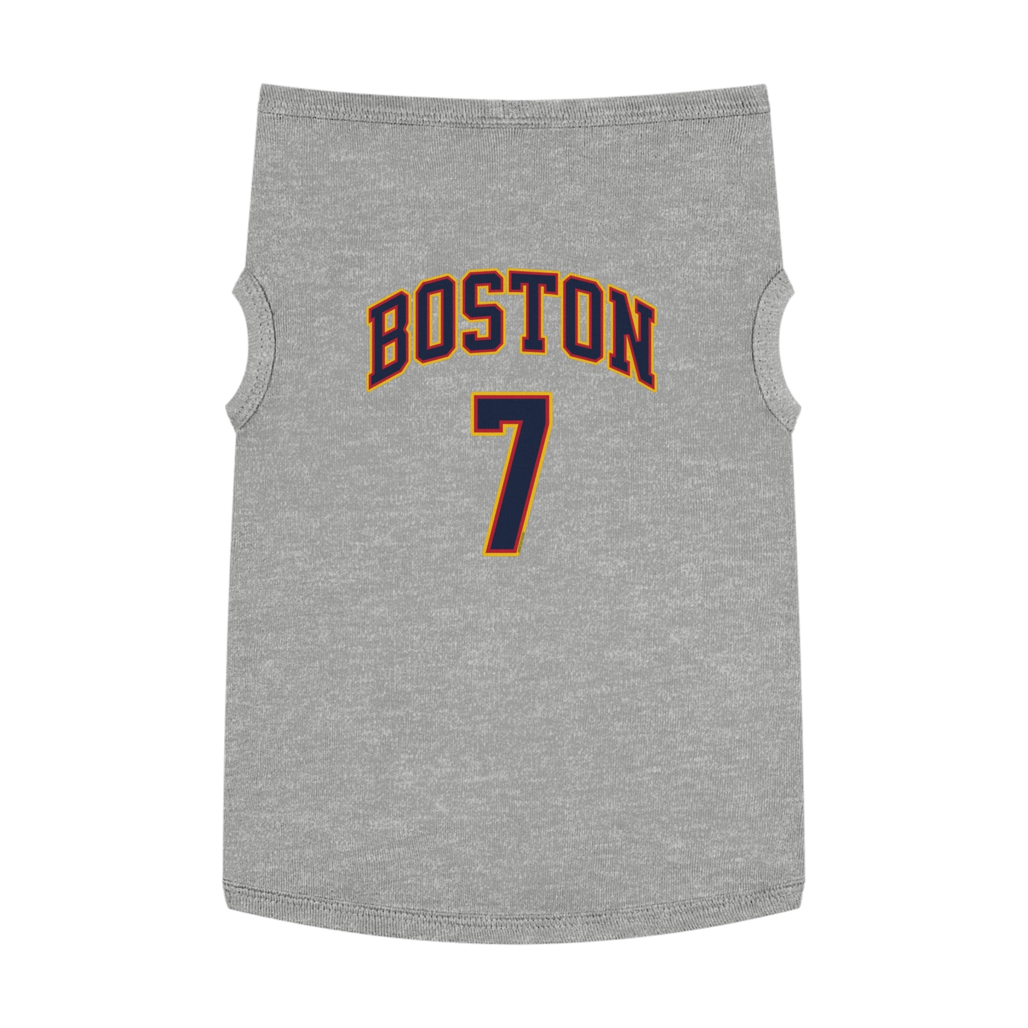 Aliyah Boston Fever Dog Sweater