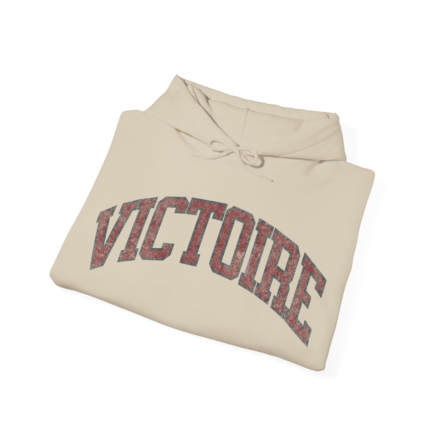 Victoire Women's Hockey Unisex Heavy Hoodie