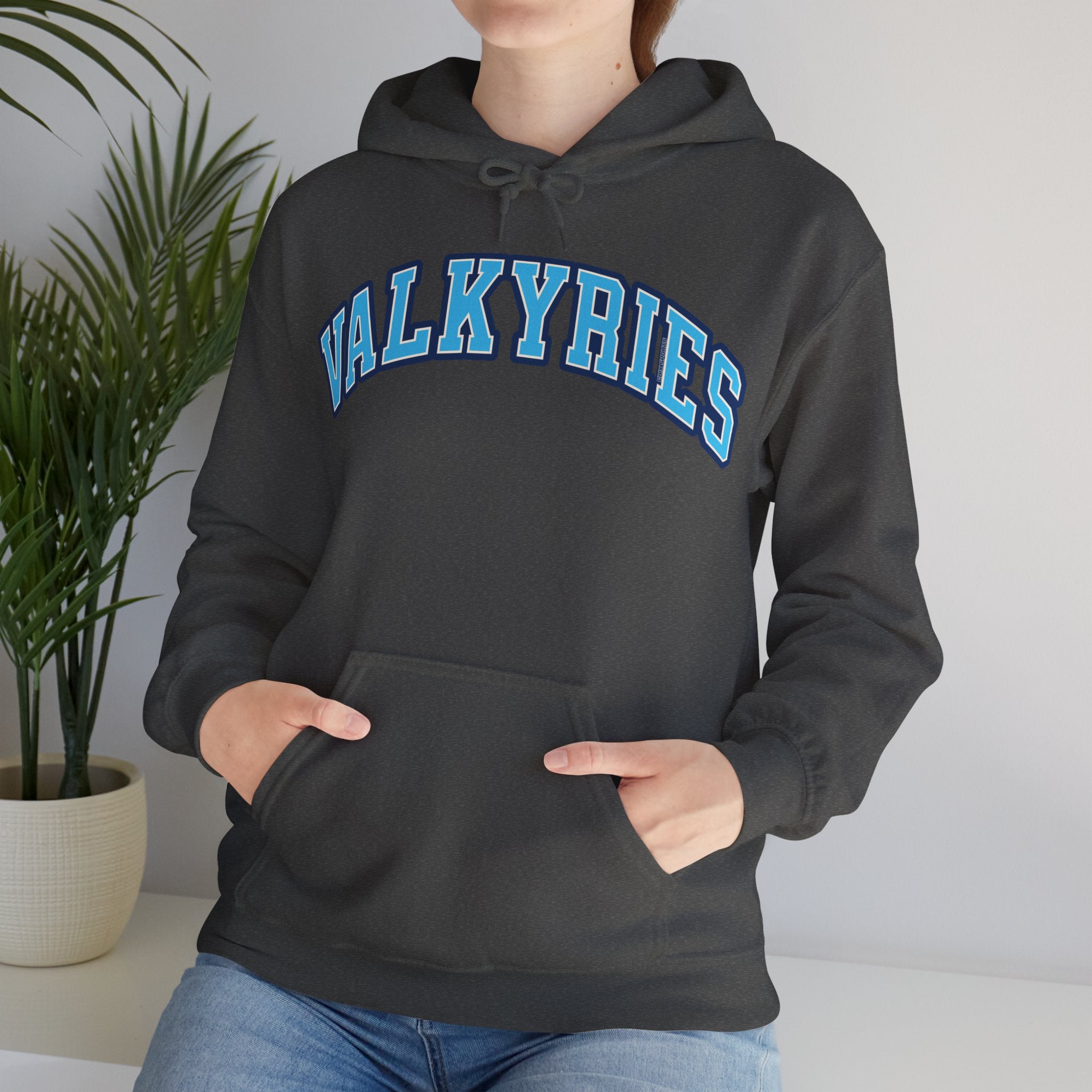 Valkyries Volleyball Unisex Heavy Hoodie