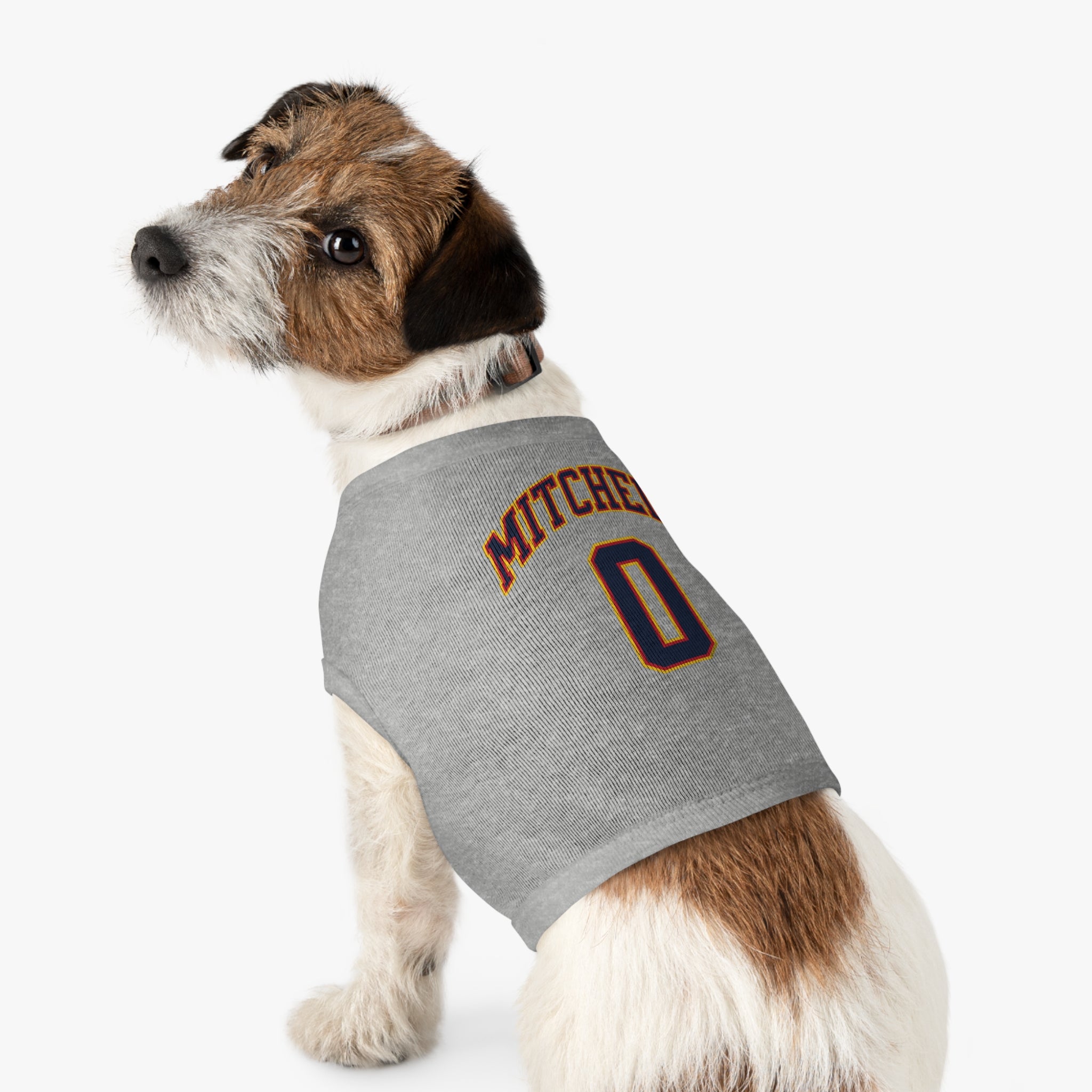 Kelsey Mitchell Fever Pet Sweater