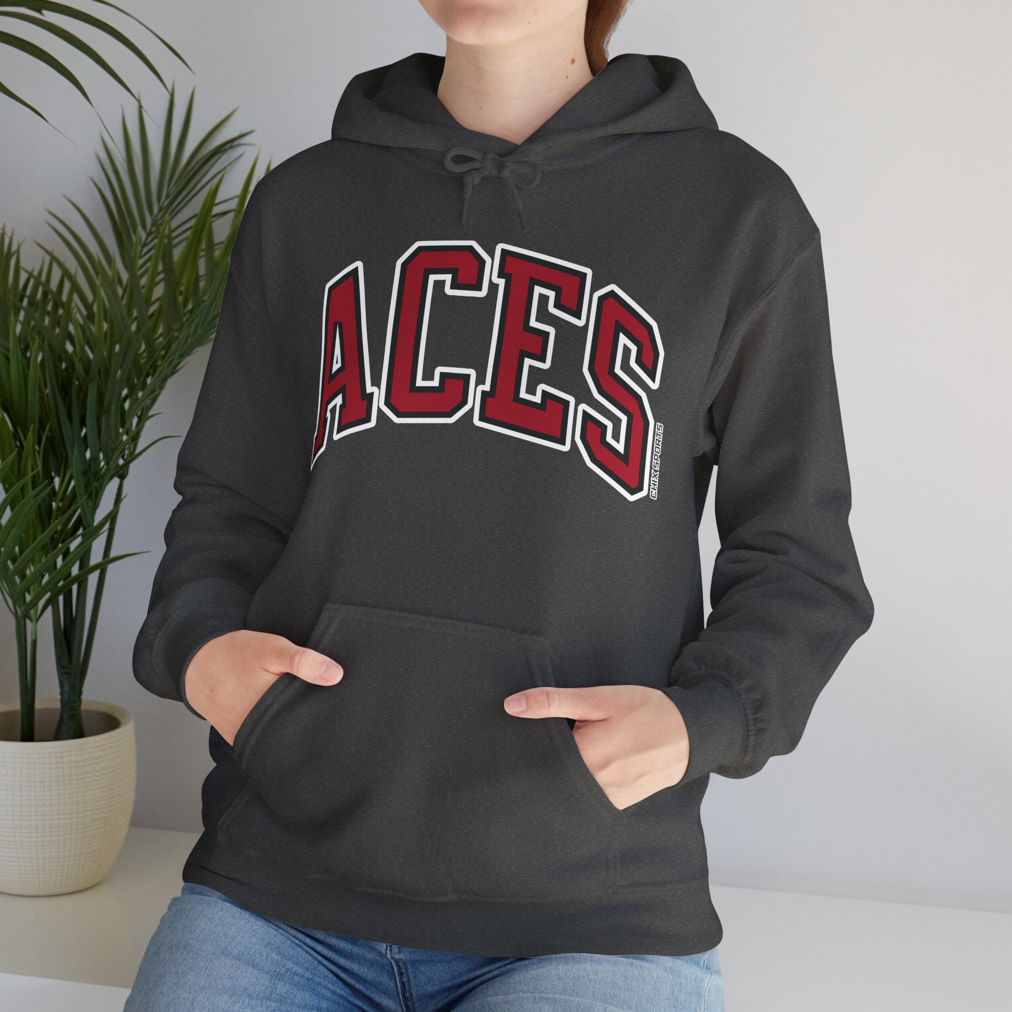 Dana Evans Aces Unisex Jersey Hoodie