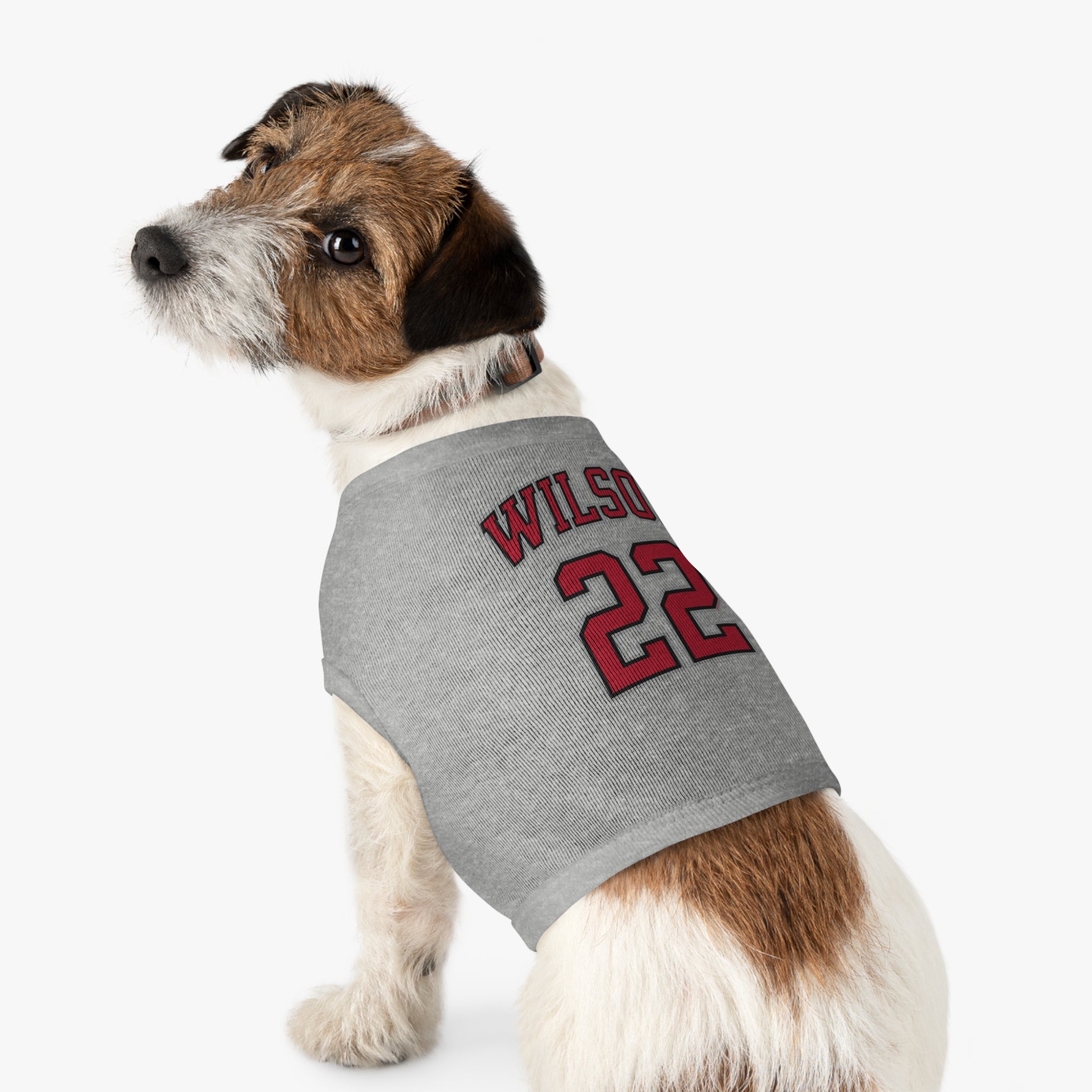 A'ja Wilson Aces Pet Sweater
