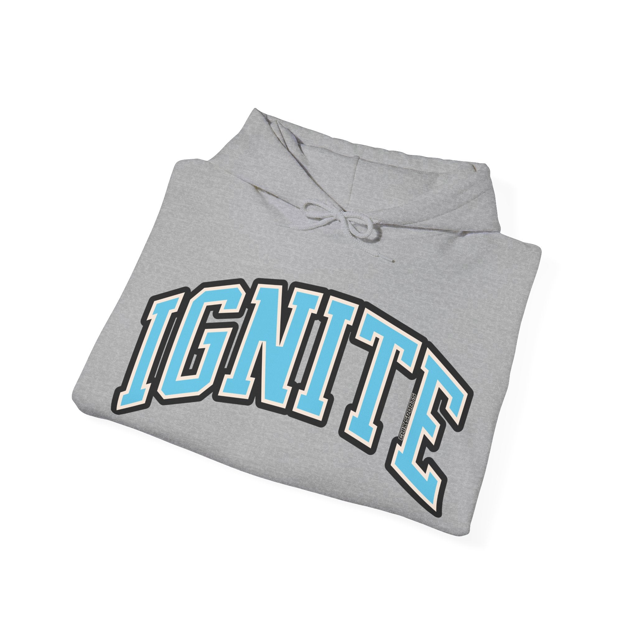 Ignite Volleyball Unisex Heavy Hoodie