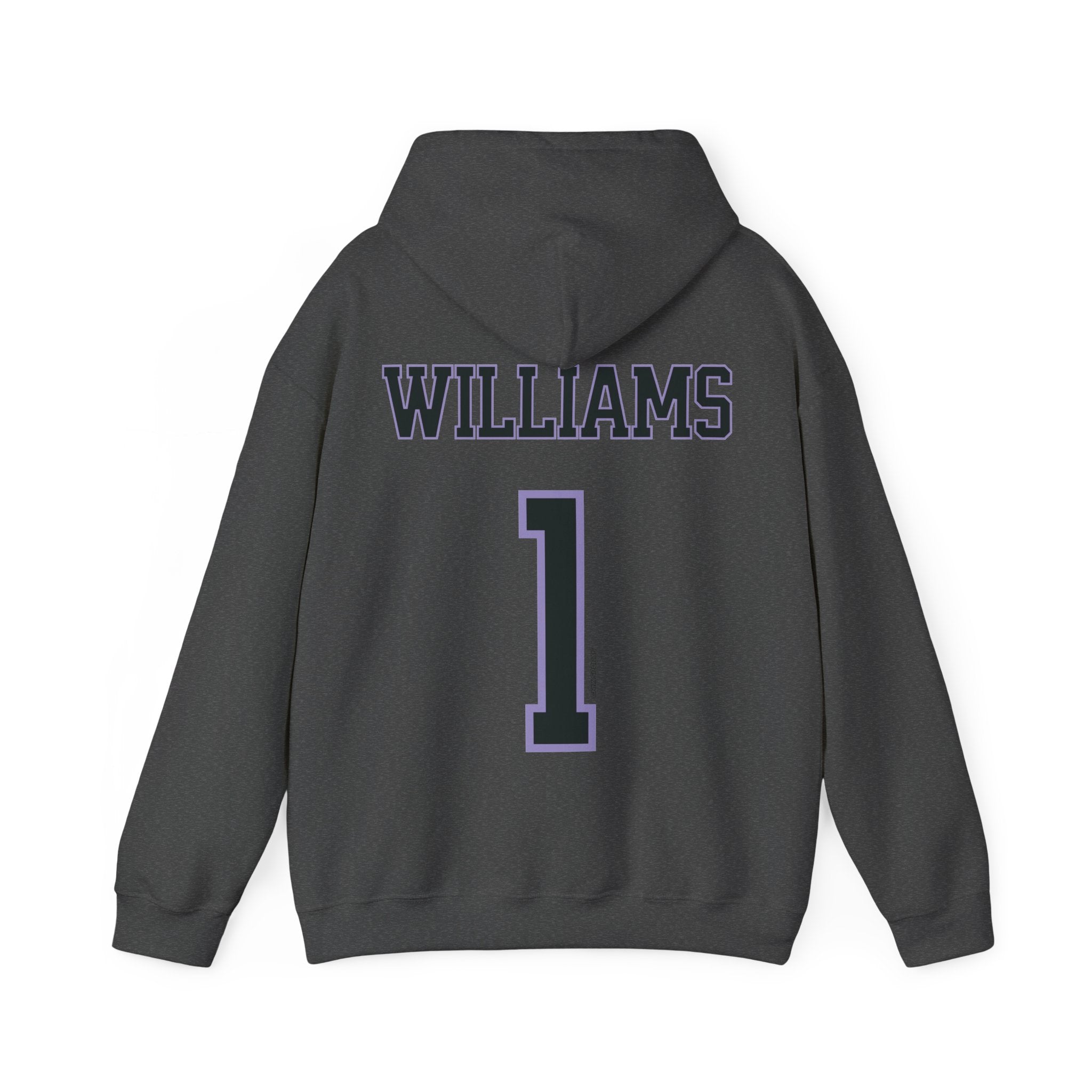 Gabby Williams Valkyries Unisex Jersey Hoodie