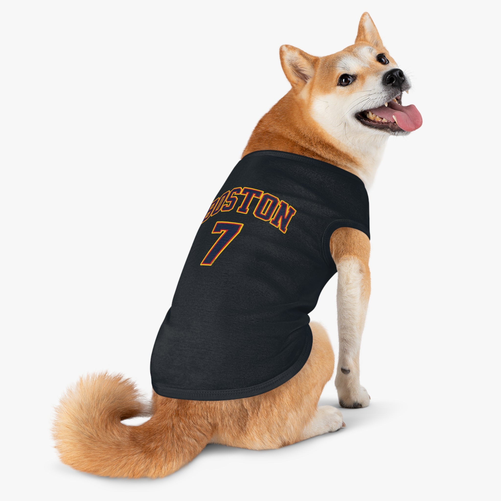 Aliyah Boston Fever Dog Sweater