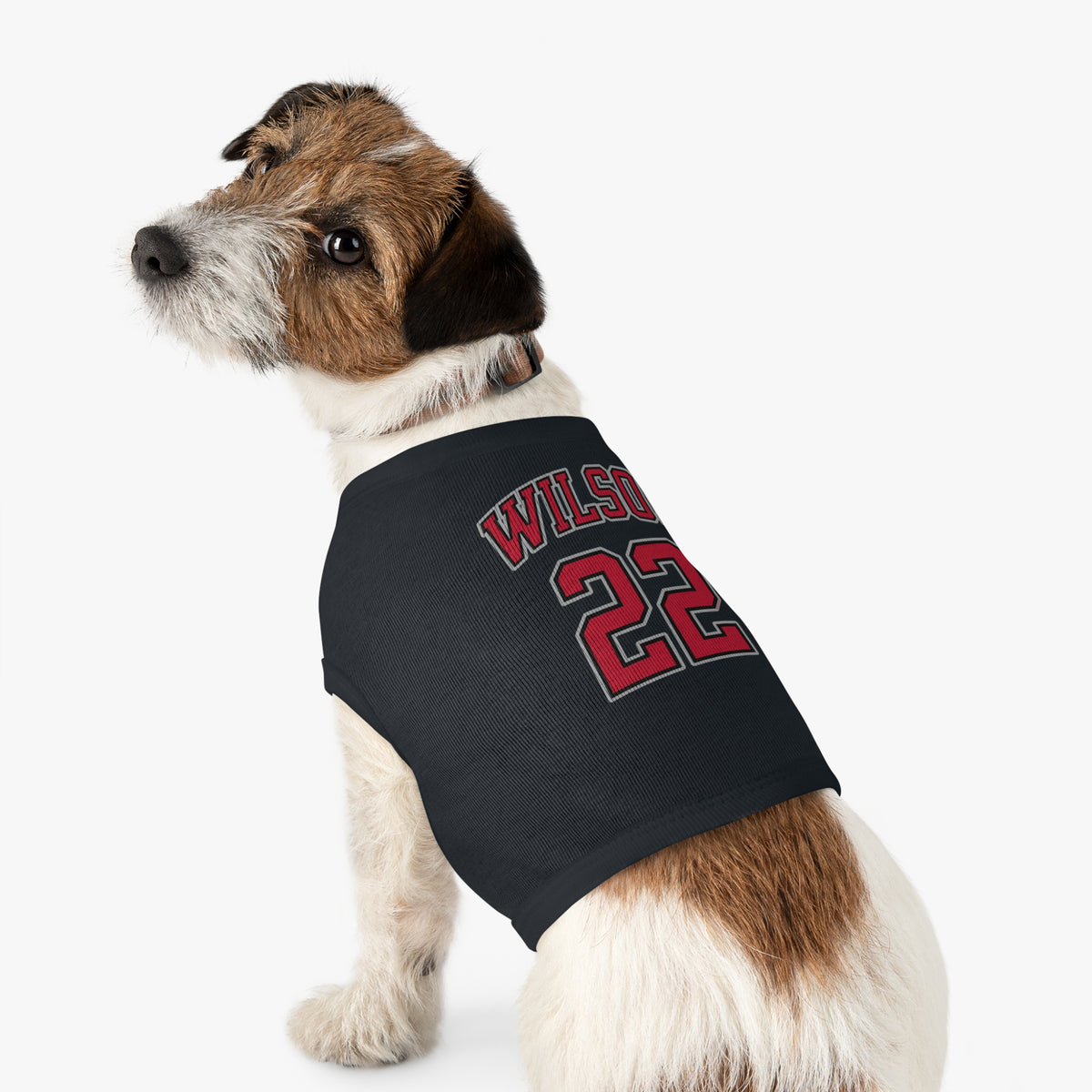 A'ja Wilson Aces Pet Sweater
