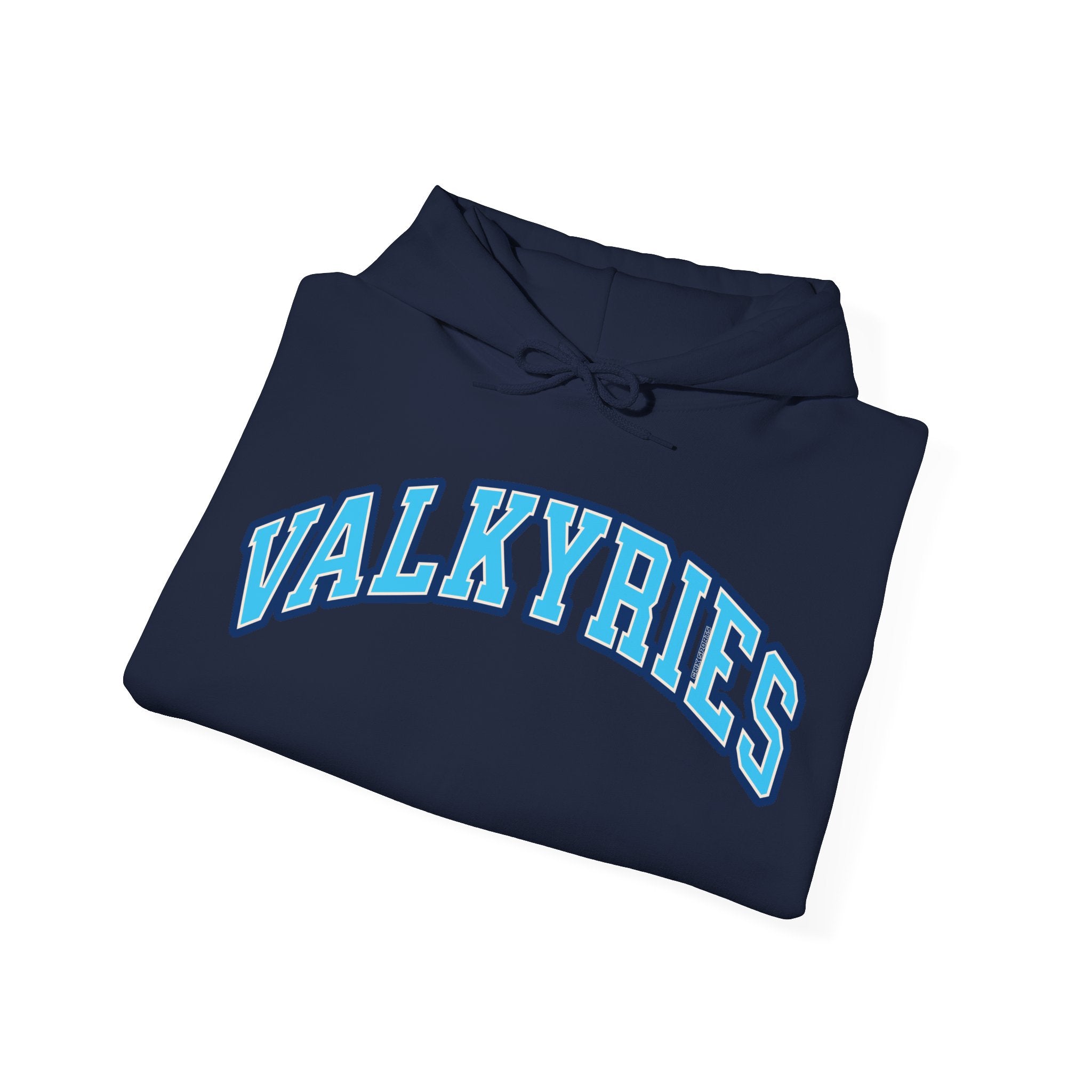 Valkyries Volleyball Unisex Heavy Hoodie