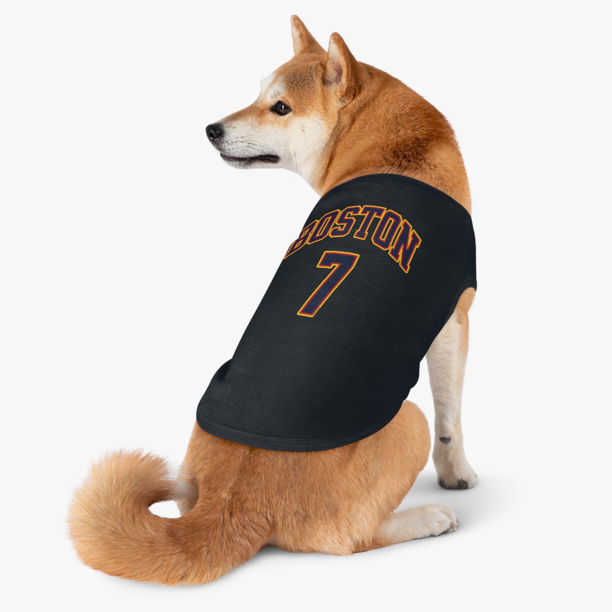 Aliyah Boston Fever Dog Sweater