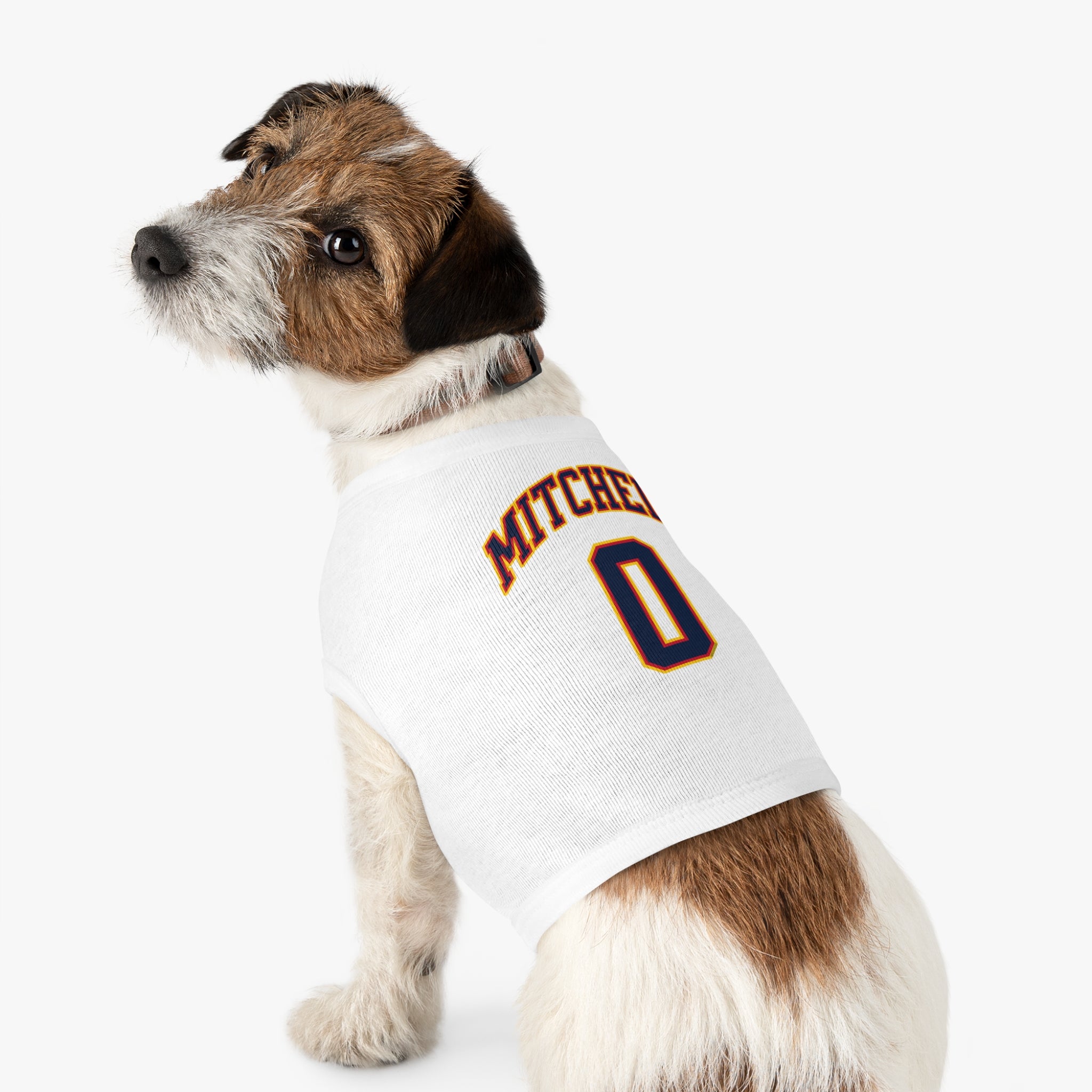 Kelsey Mitchell Fever Pet Sweater