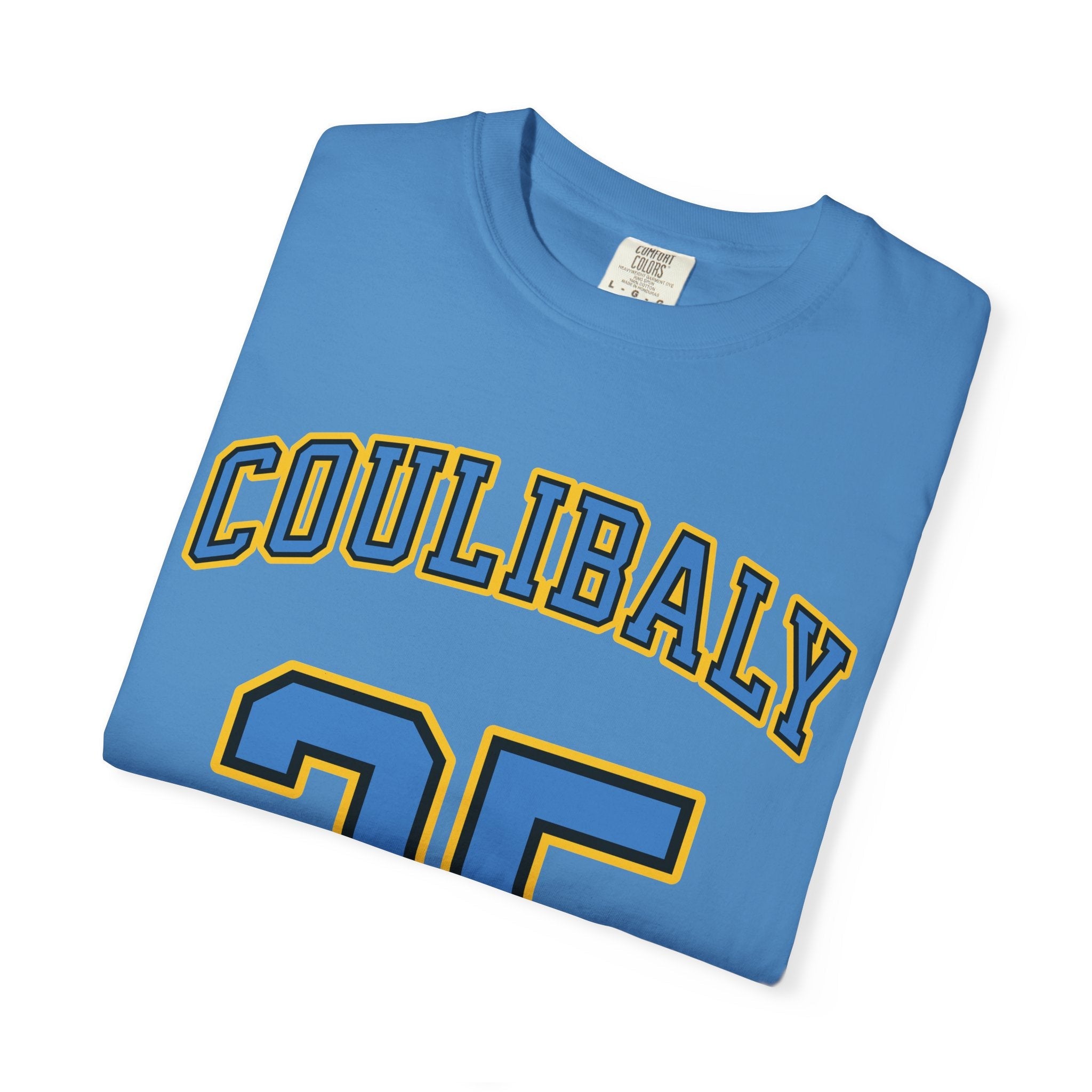 Aicha Coulibaly Sky Premium Unisex Shirt | Chix Sports