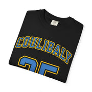 Aicha Coulibaly Sky Premium Unisex Shirt | Chix Sports