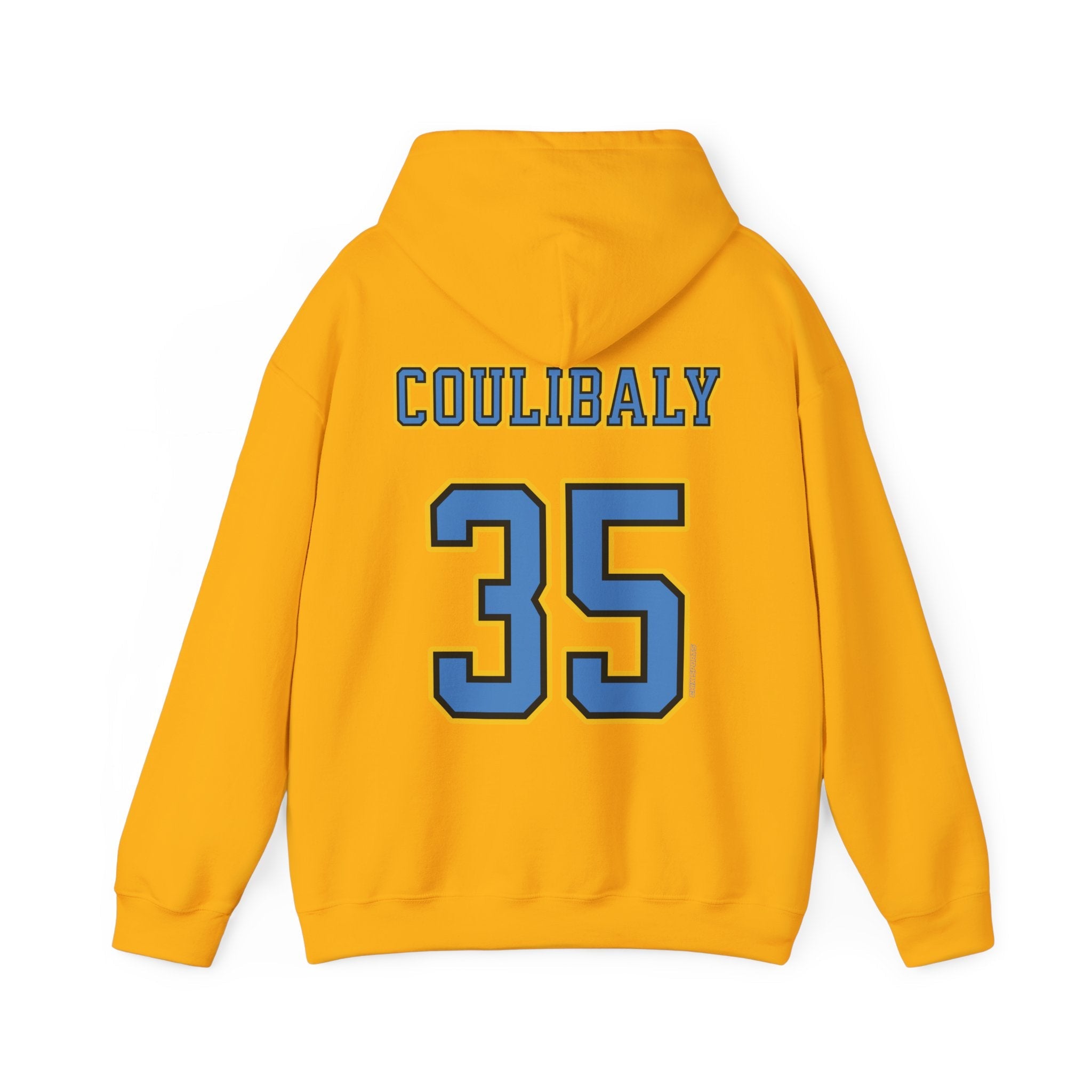 Aicha Coulibaly Sky Unisex Jersey Hoodie | Chix Sports
