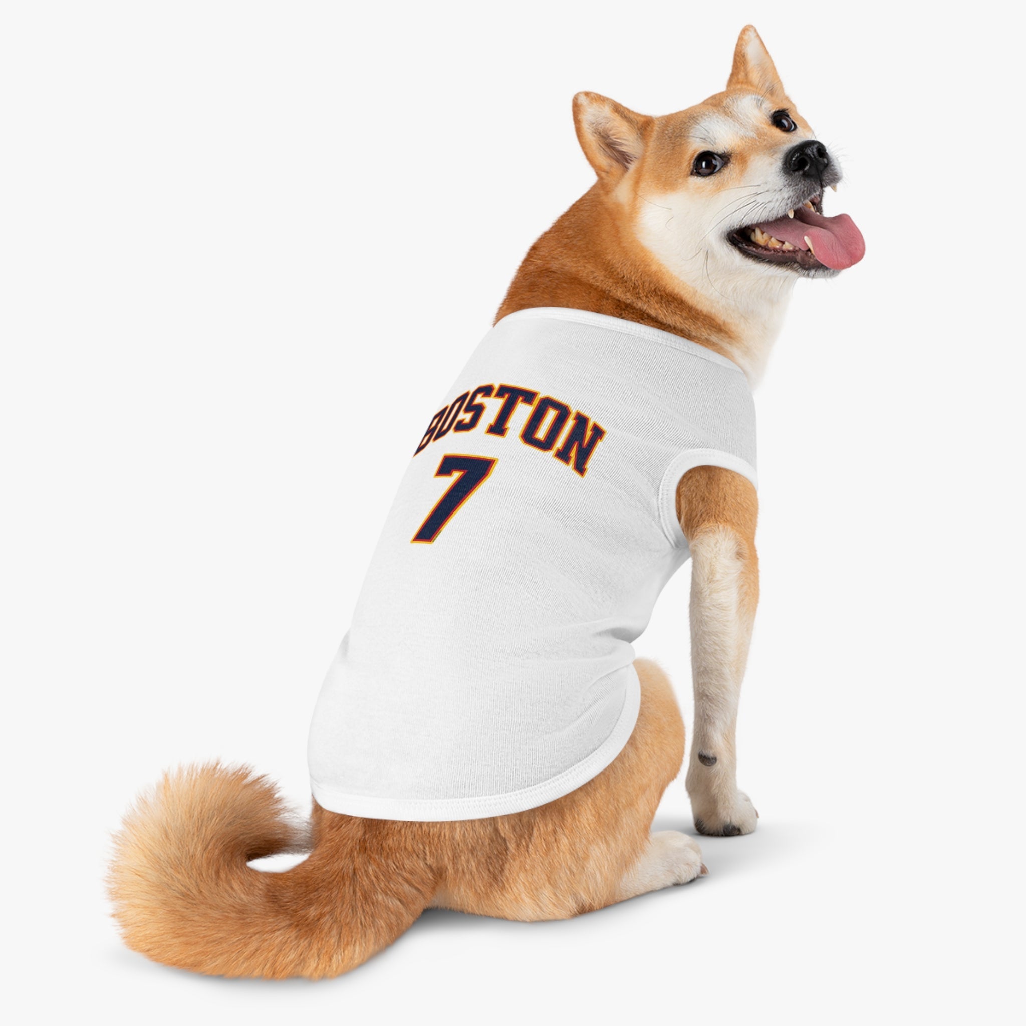 Aliyah Boston Fever Dog Sweater in XL | Chix Sports