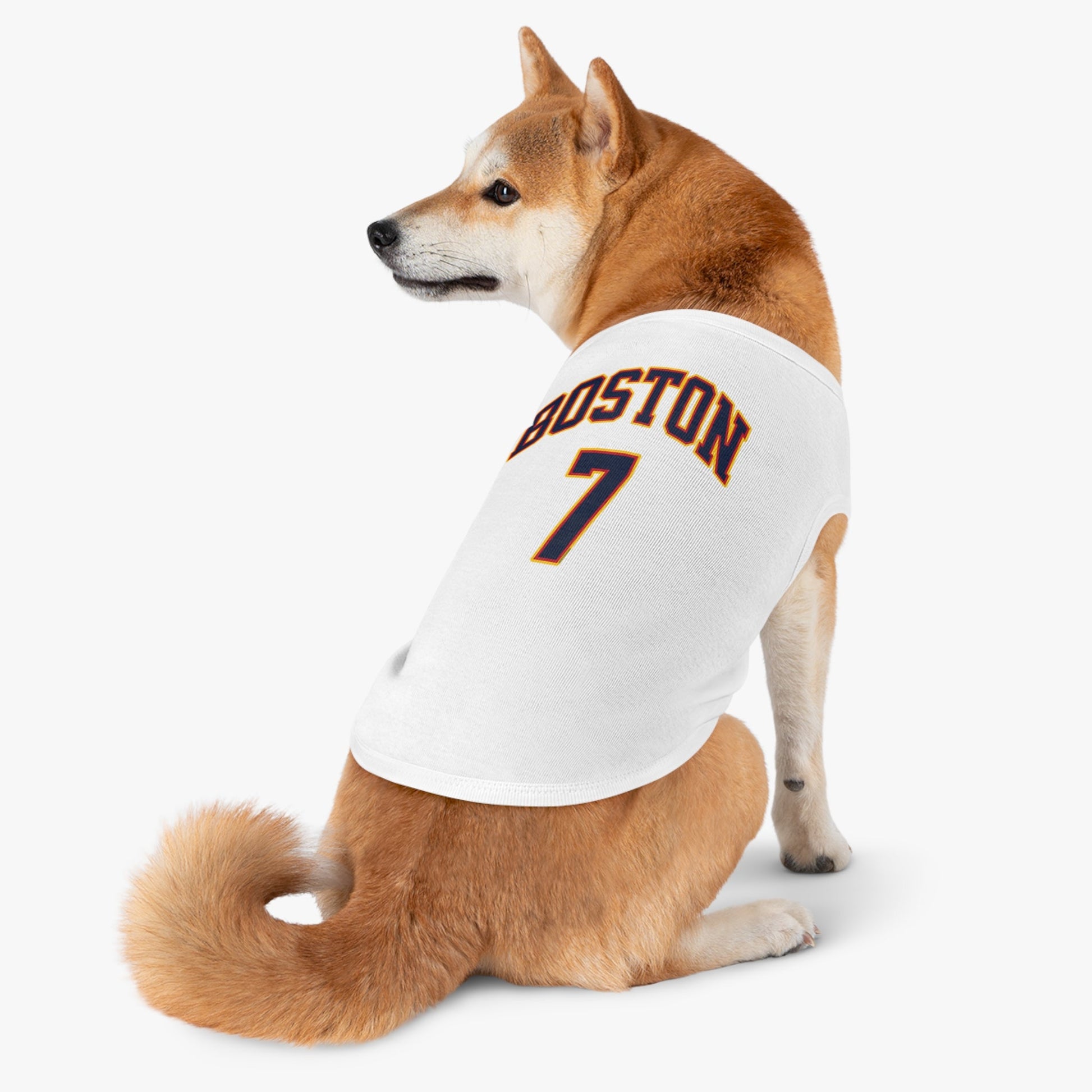 Aliyah Boston Fever Dog Sweater in L | Chix Sports