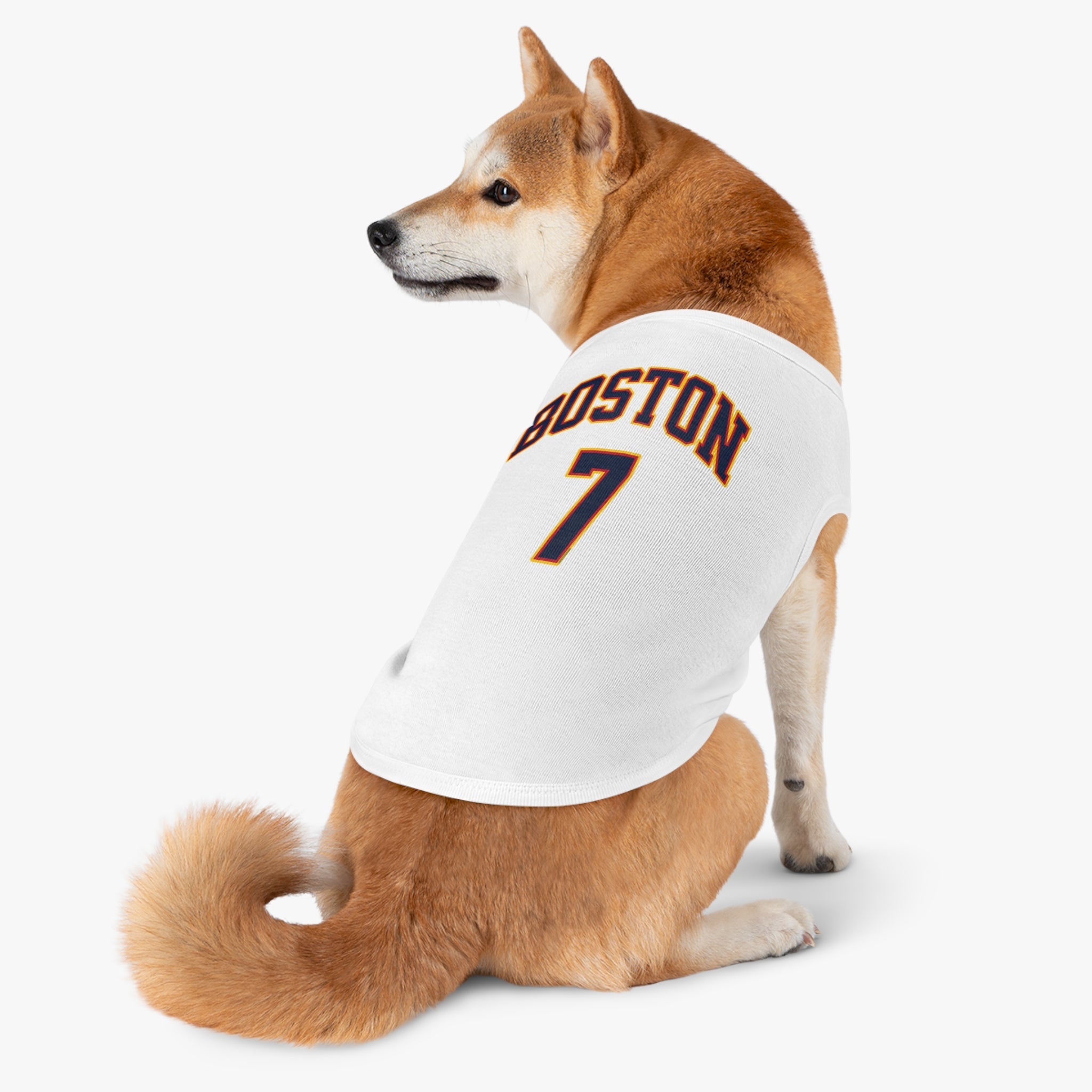 Aliyah Boston Fever Dog Sweater in L | Chix Sports