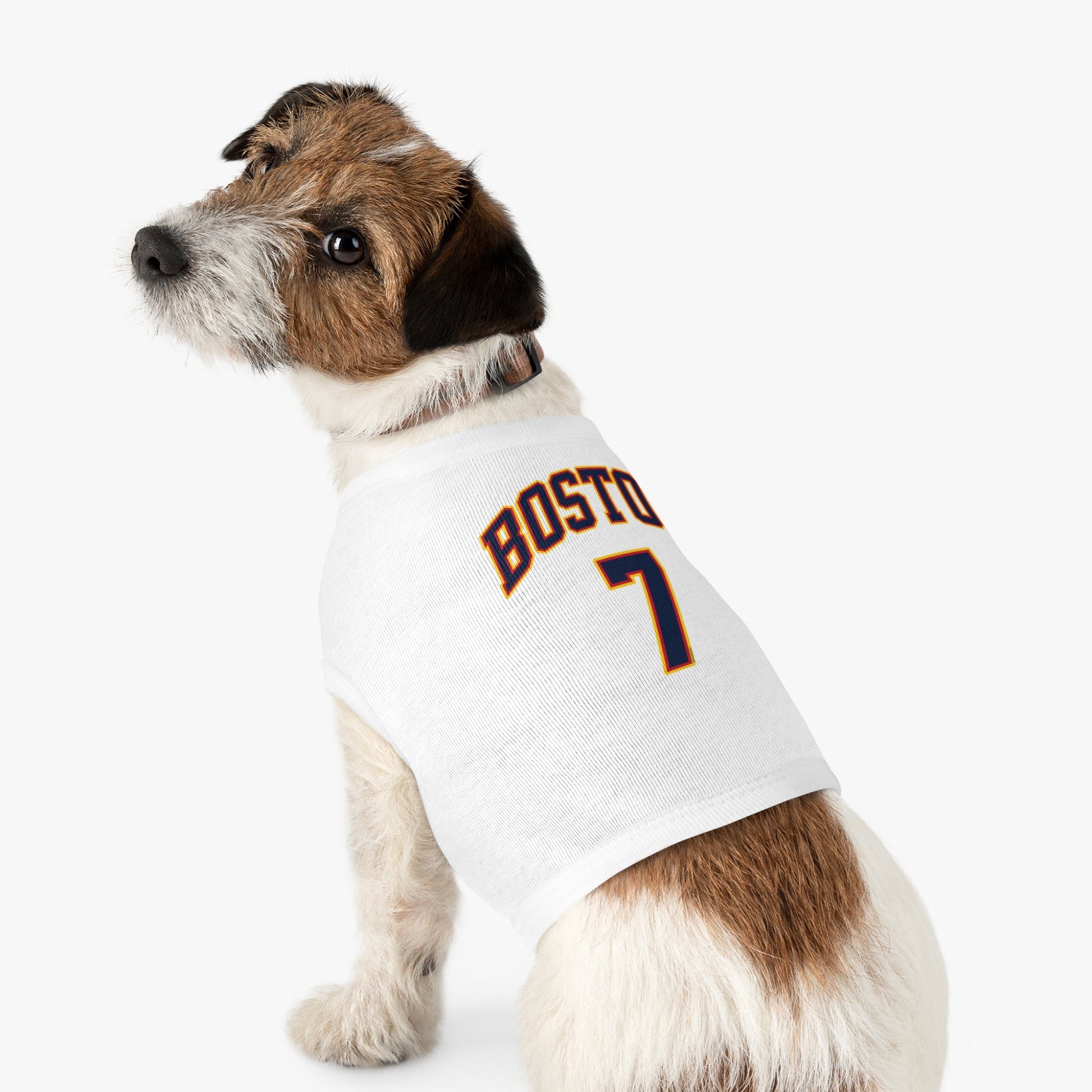 Aliyah Boston Fever Dog Sweater in XL | Chix Sports