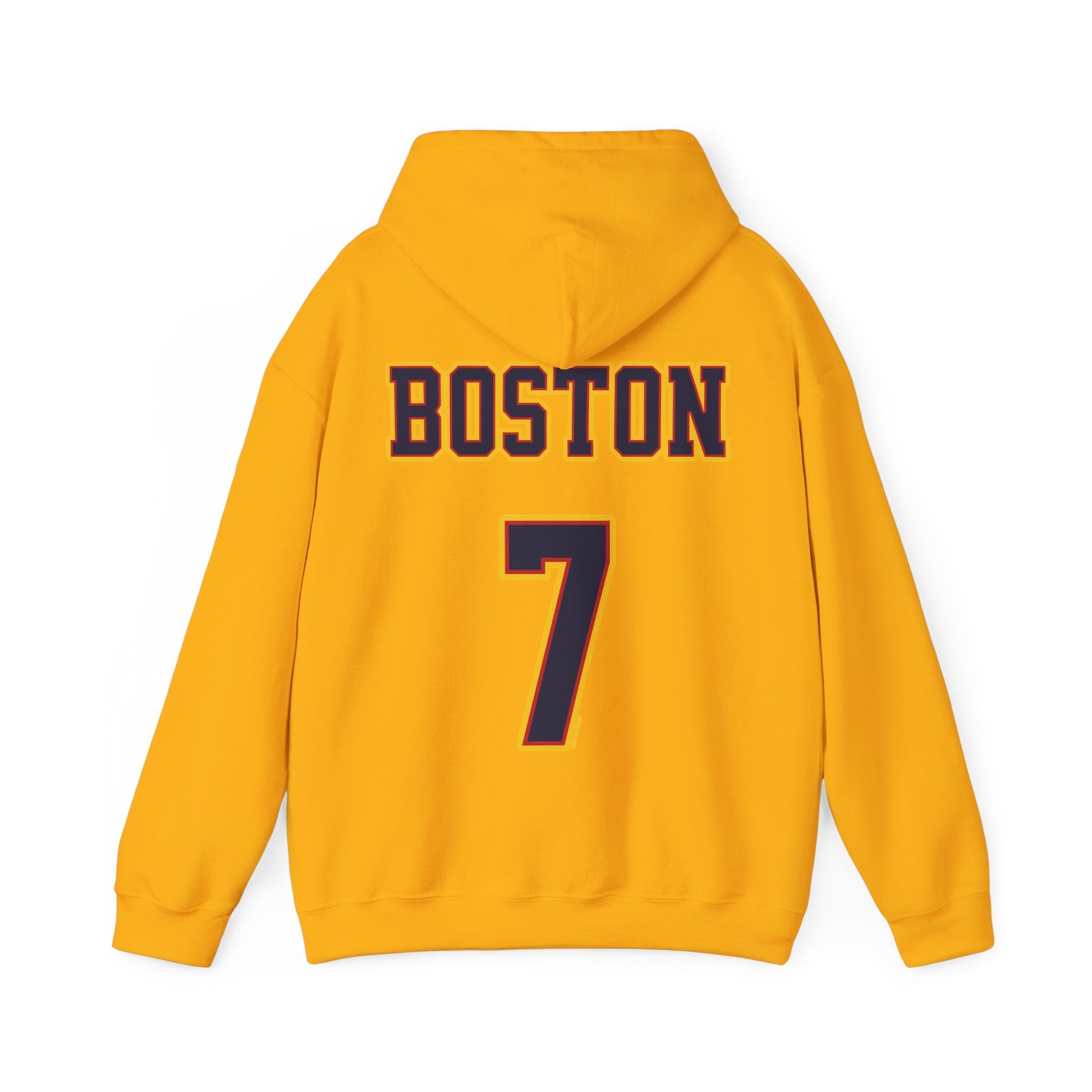 Aliyah Boston Fever Unisex Jersey Hoodie | Chix Sports