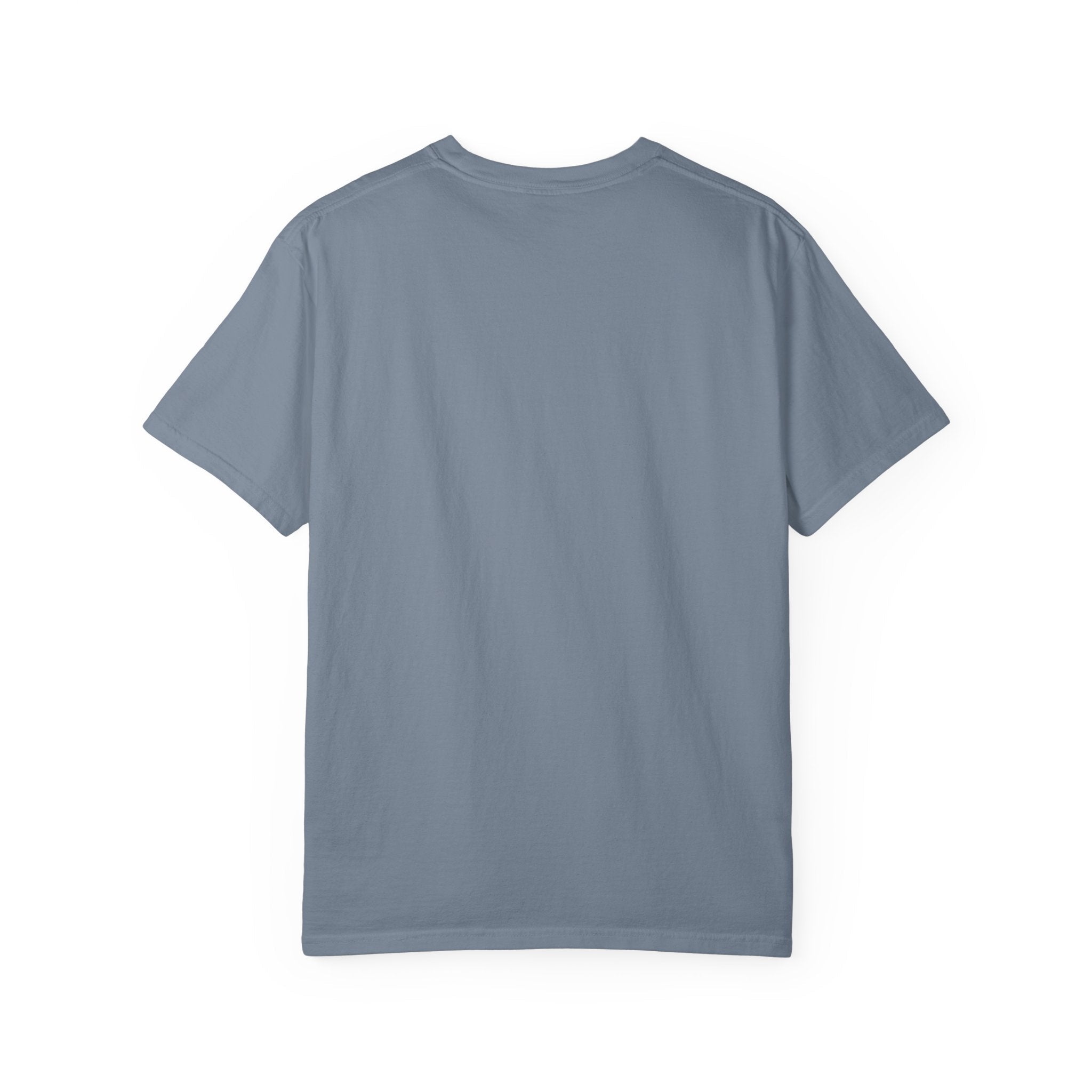 Allisha Gray Dream Premium Unisex Shirt | Chix Sports