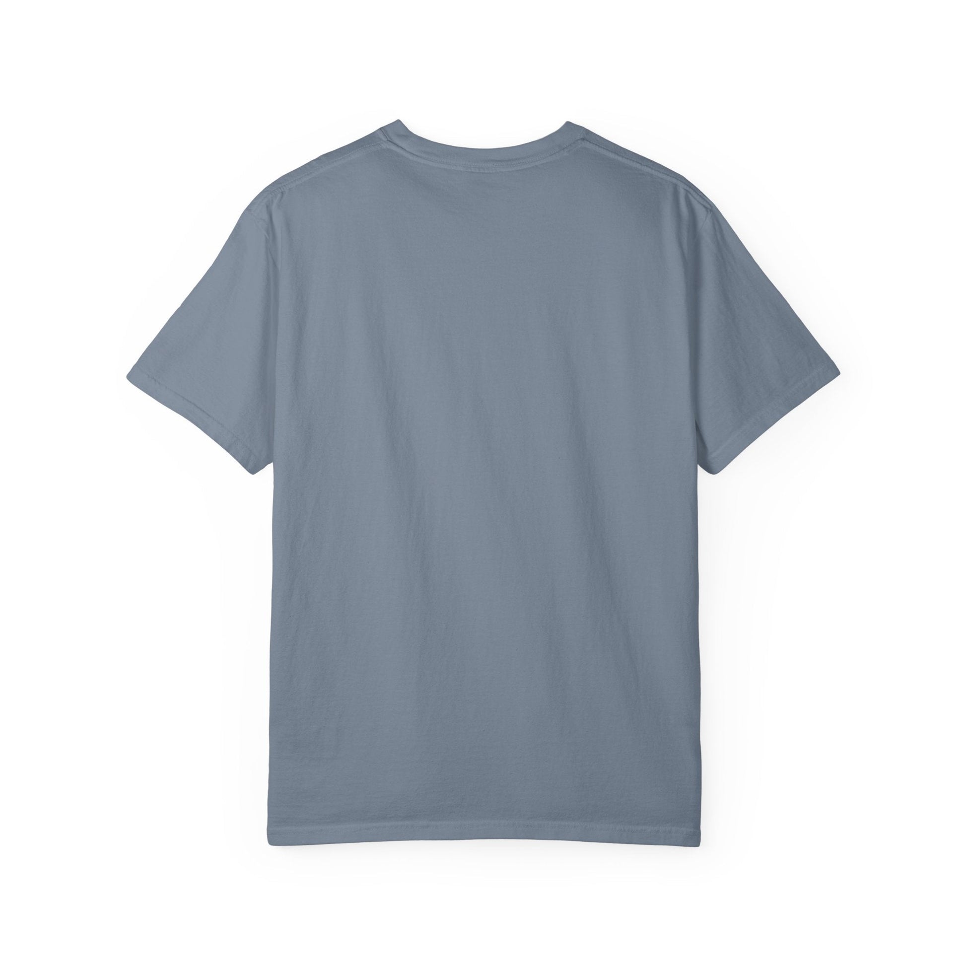 Amy Okonkwo Dream Premium Unisex Shirt | Chix Sports