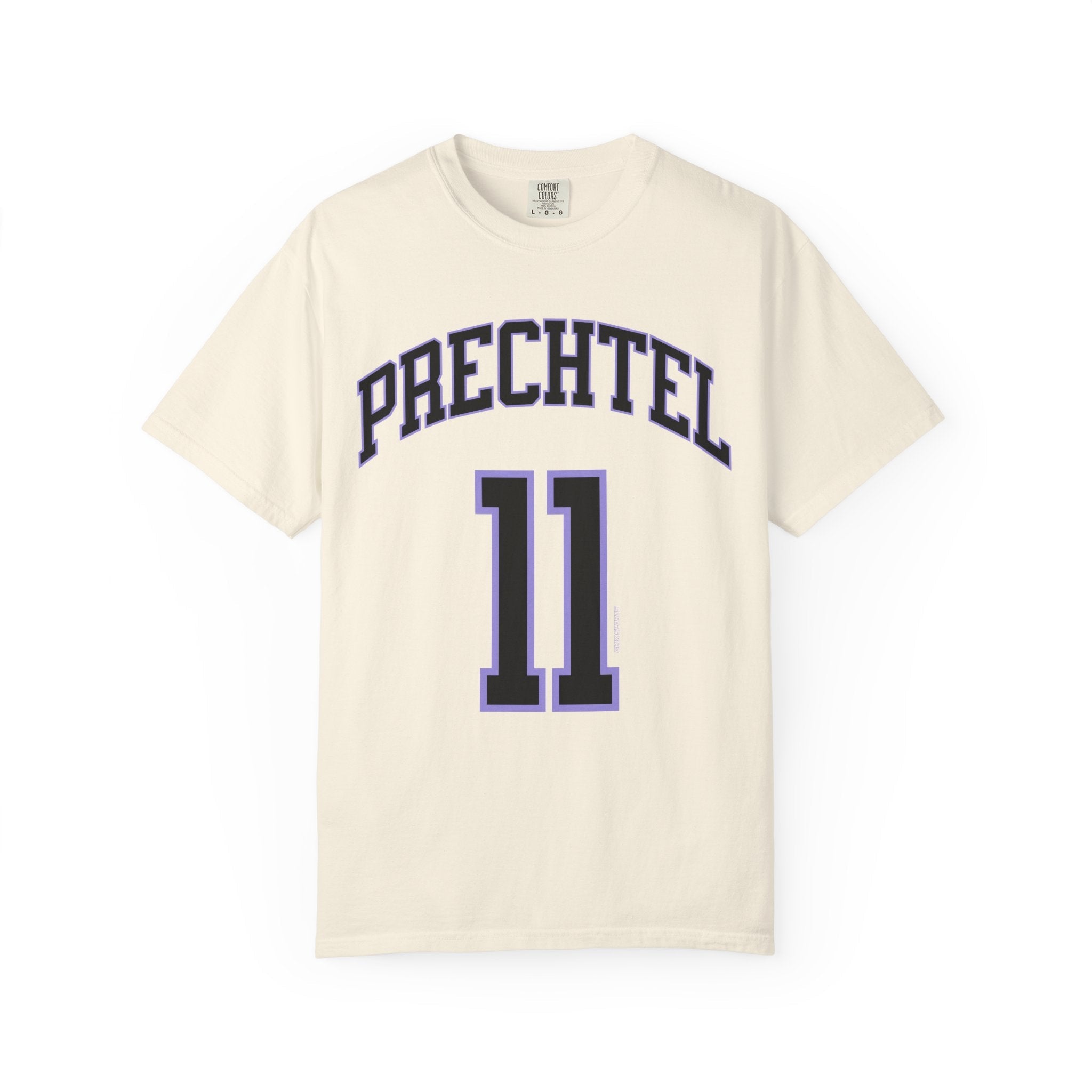Ashten Prechtel Valkyries Premium Unisex Shirt | Chix Sports
