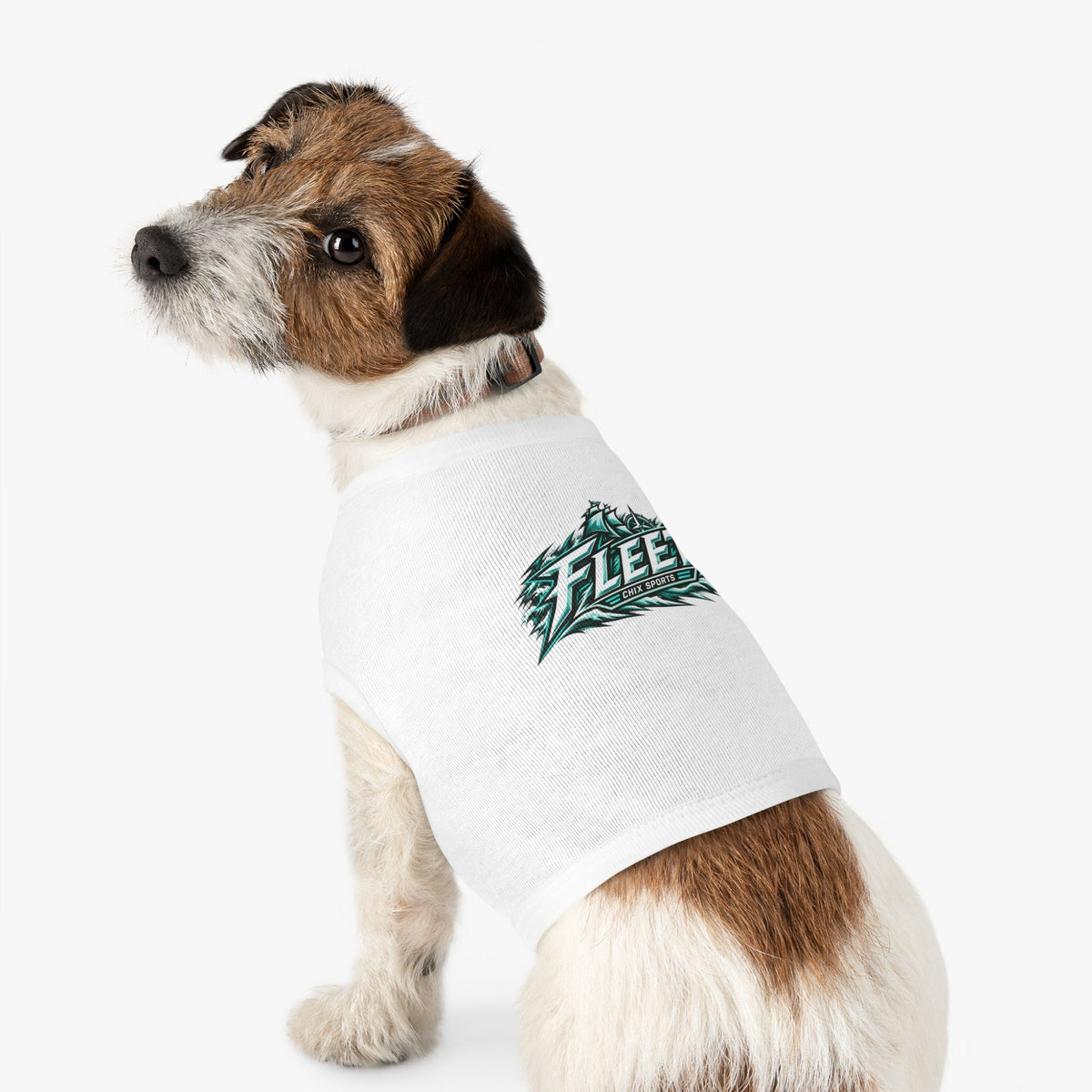 Boston Fleet Dog Sweater in XL | Chix Sports