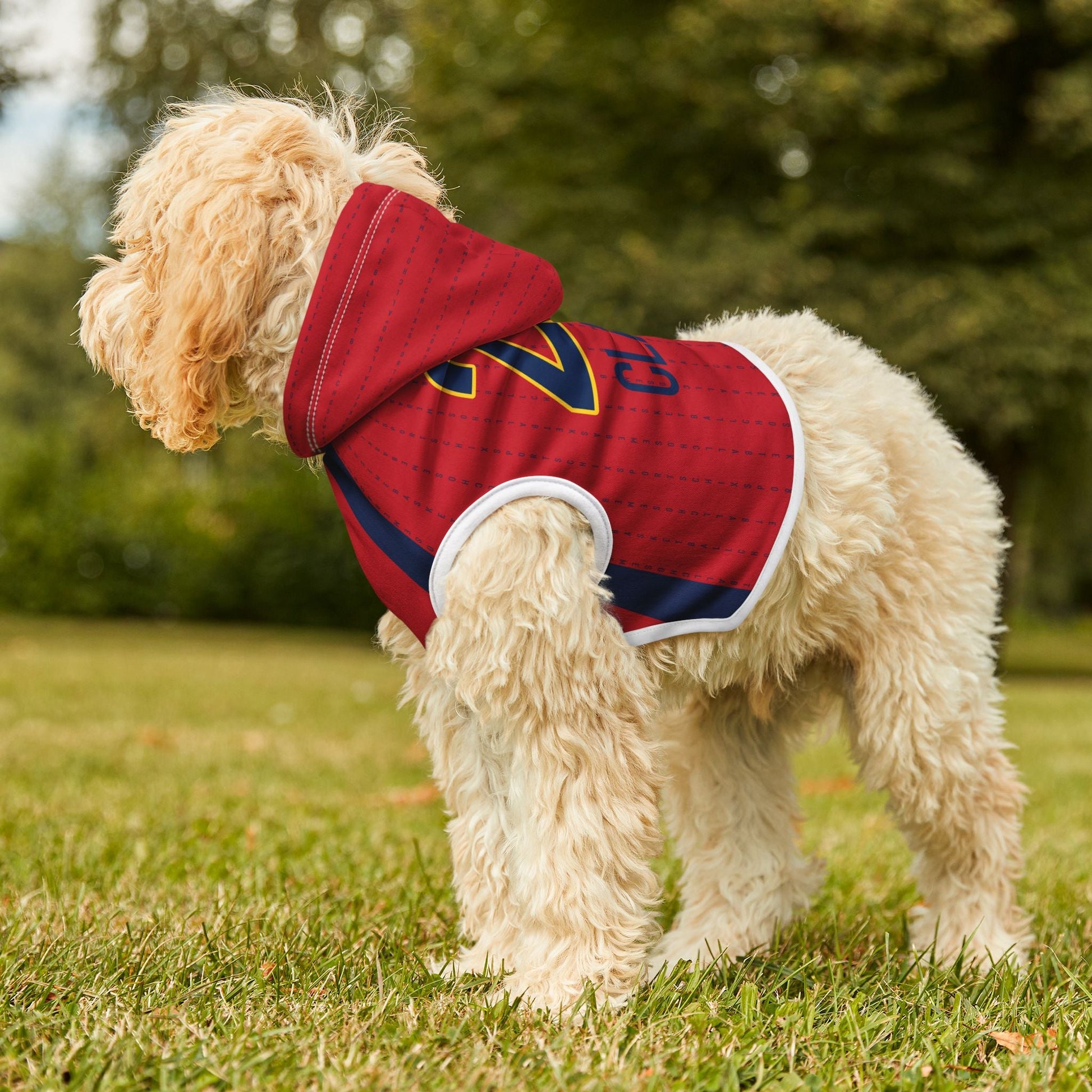 Caitlin Clark 22 Fever Pet Hoodie | Chix Sports
