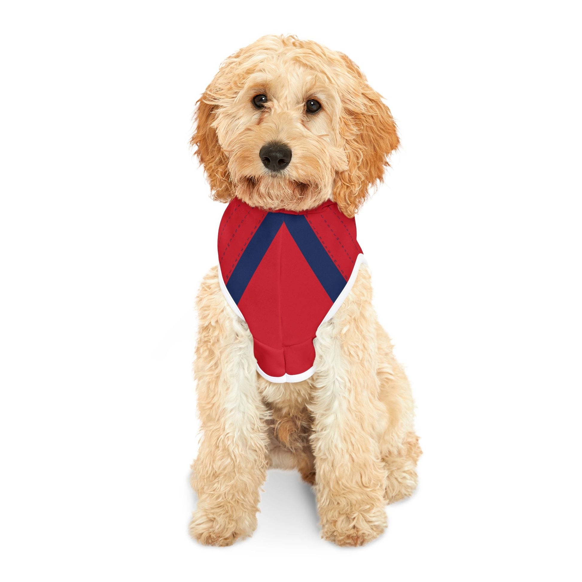 Caitlin Clark 22 Fever Pet Hoodie | Chix Sports