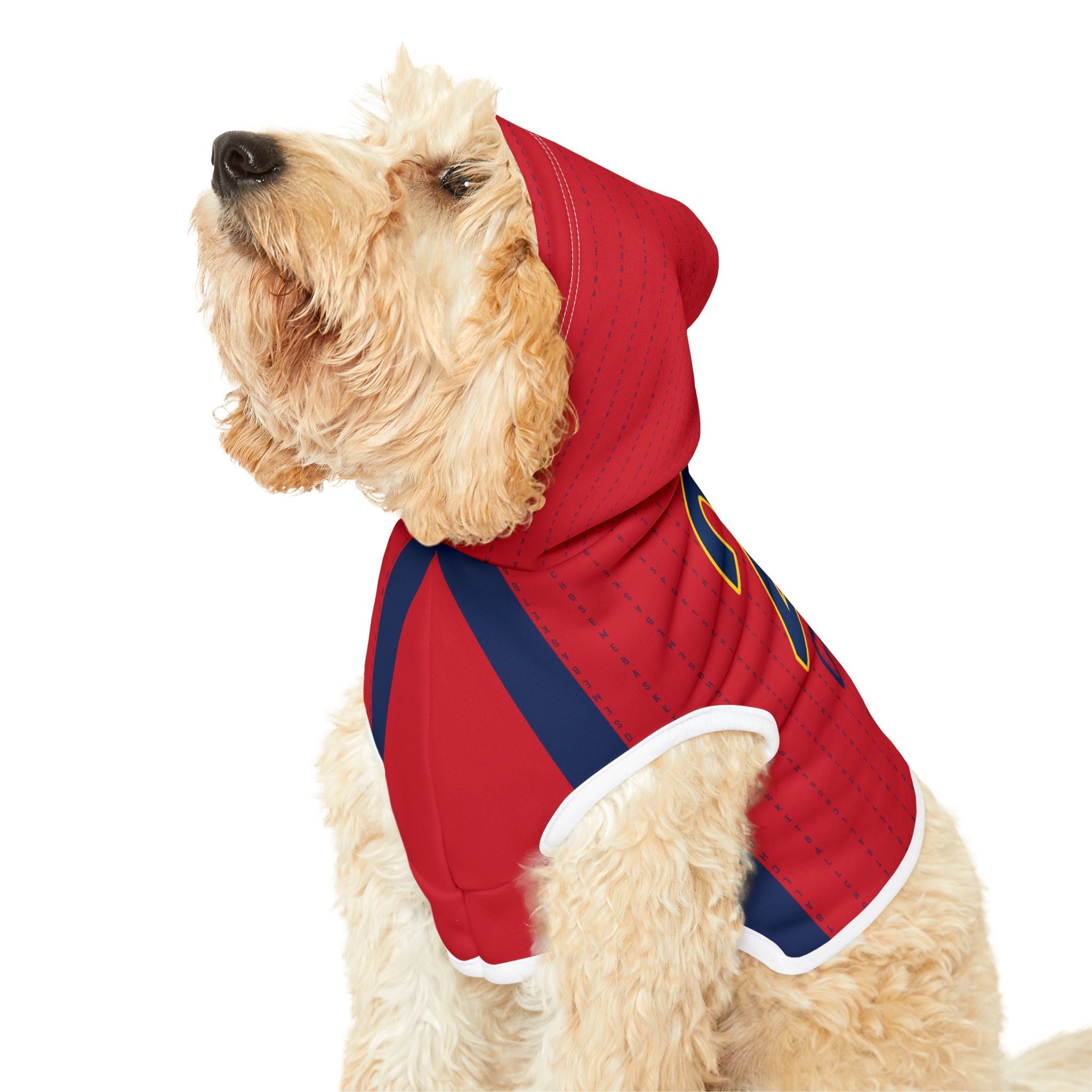 Caitlin Clark 22 Fever Pet Hoodie | Chix Sports