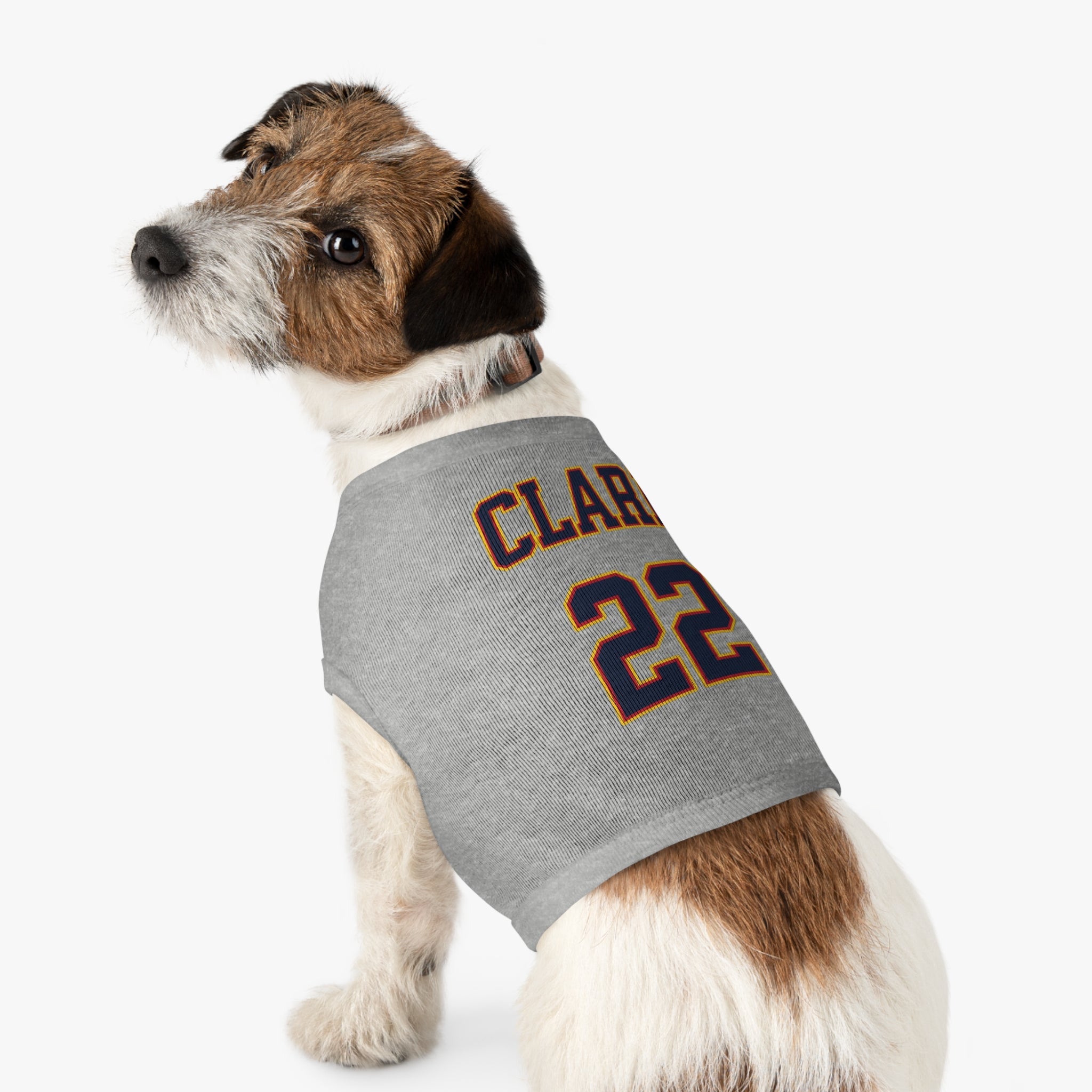 Caitlin Clark Fever Dog Sweater | Chix Sports