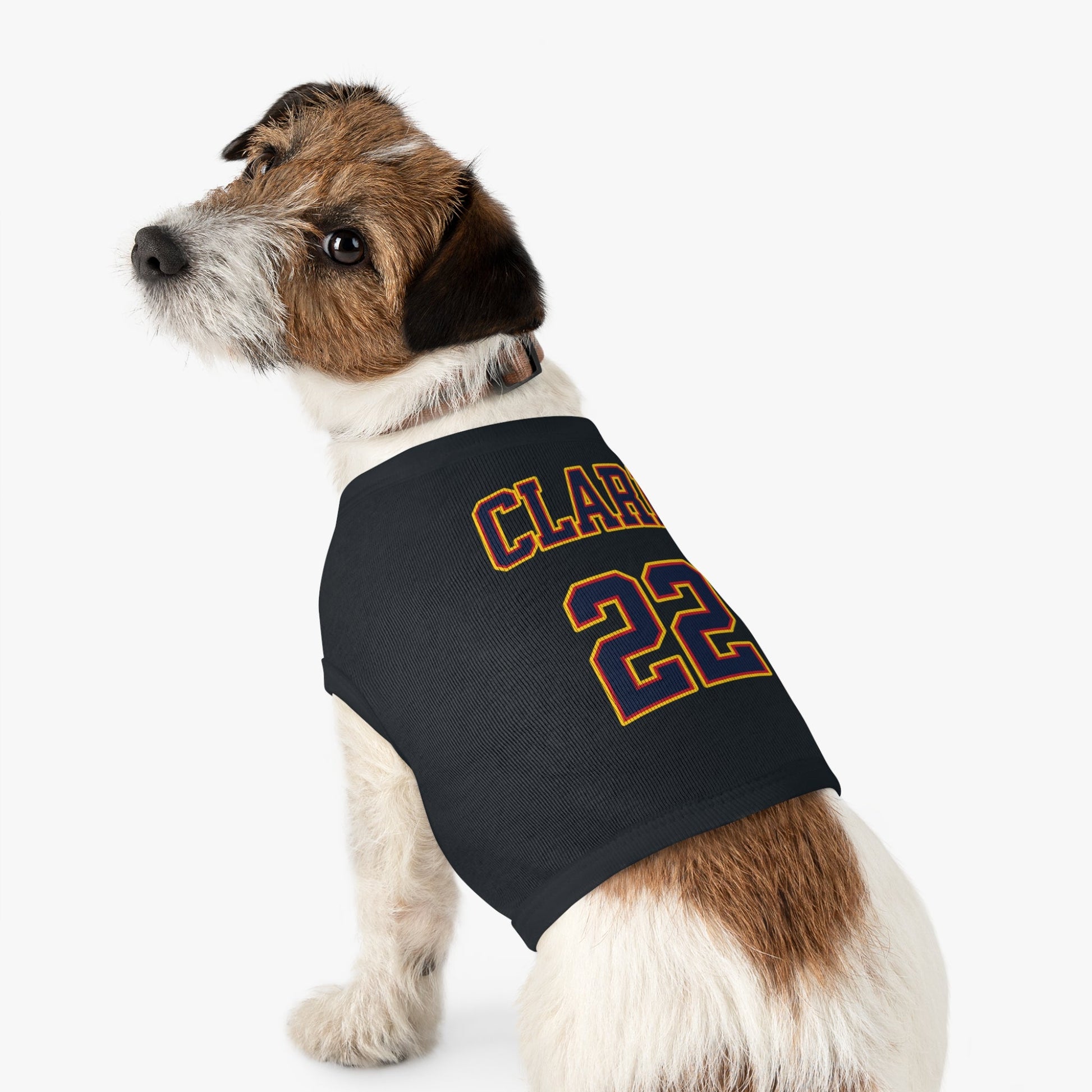 Caitlin Clark Fever Dog Sweater | Chix Sports