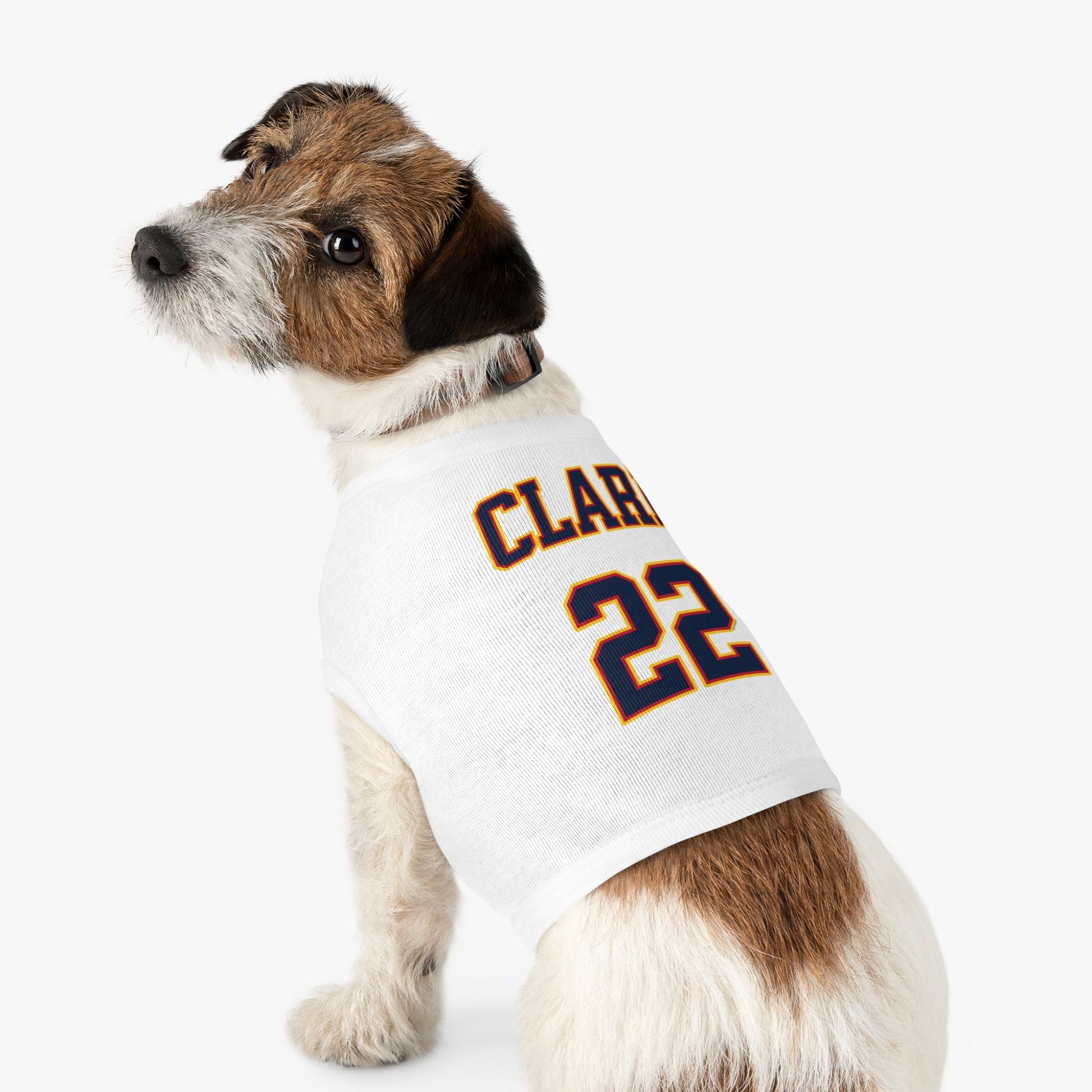 Caitlin Clark Fever Dog Sweater | Chix Sports