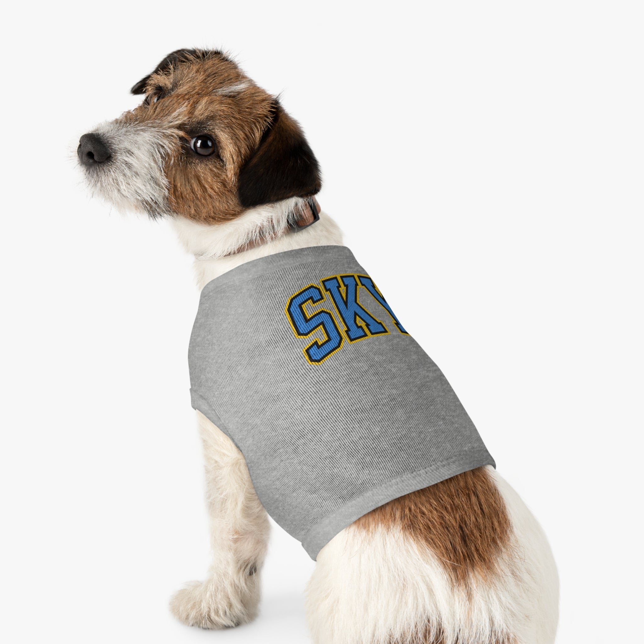 Chicago Sky Dog Sweater | Chix Sports